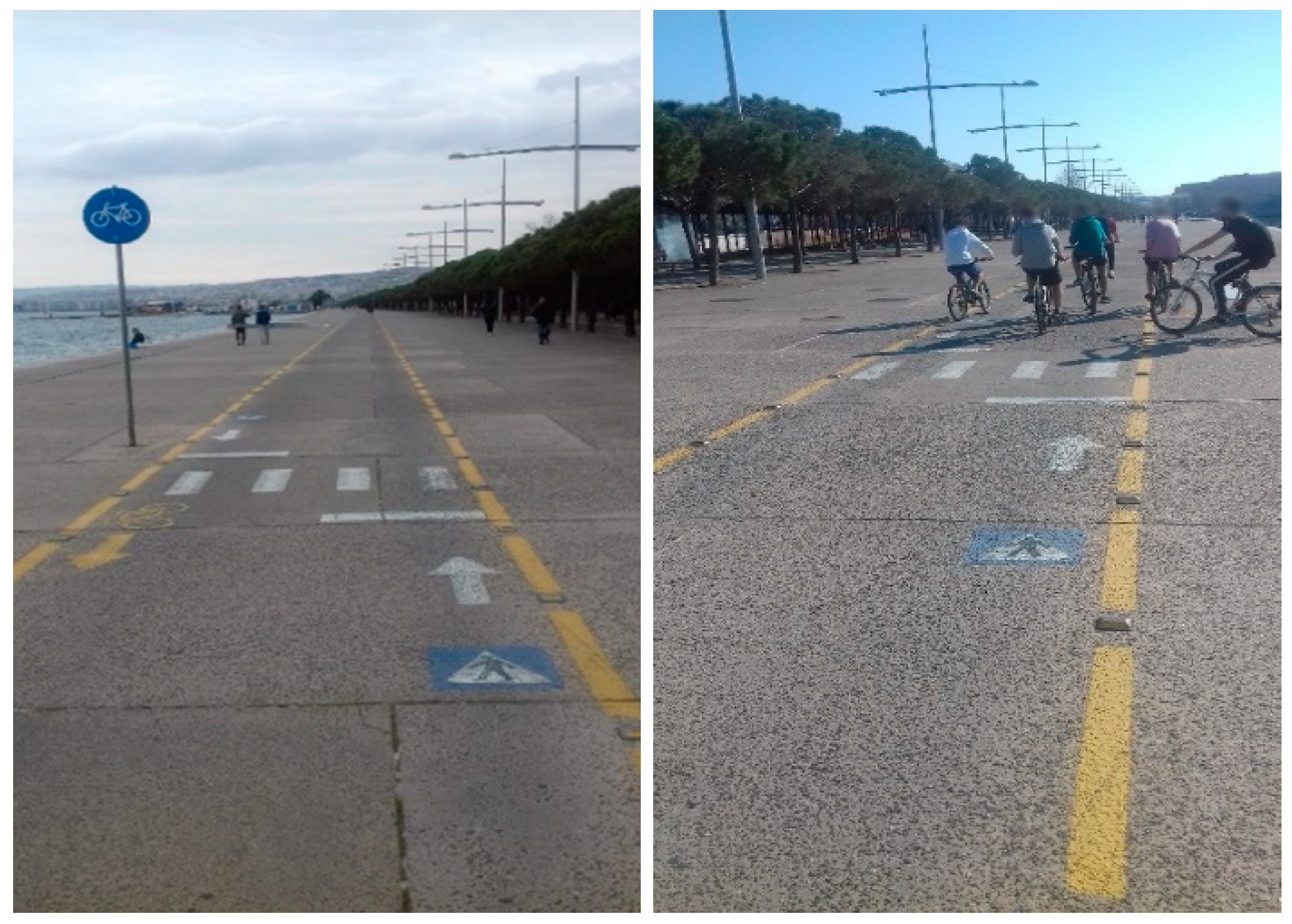 Sustainability 15 09377 g001