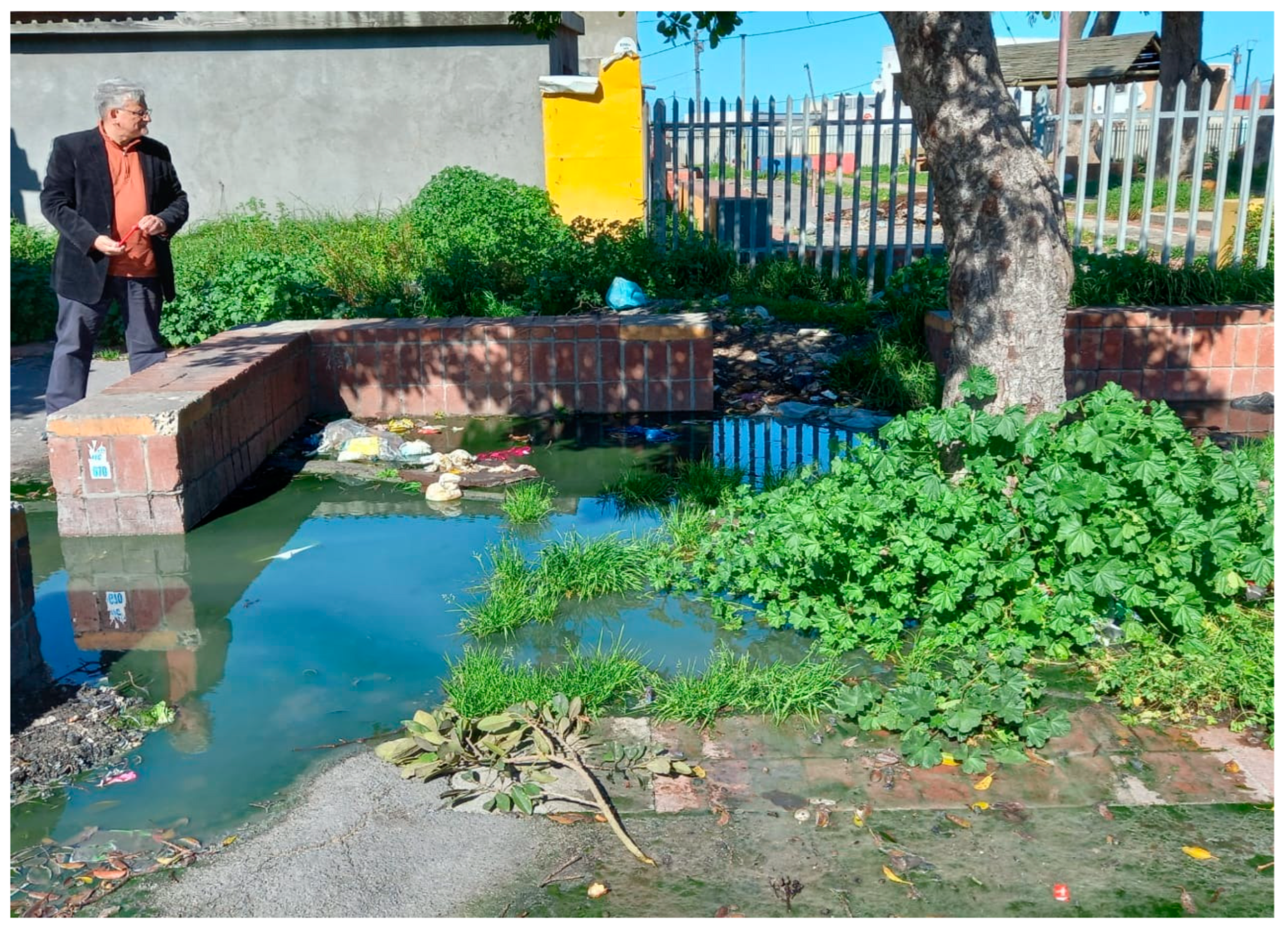 Sustainability 15 09478 g010