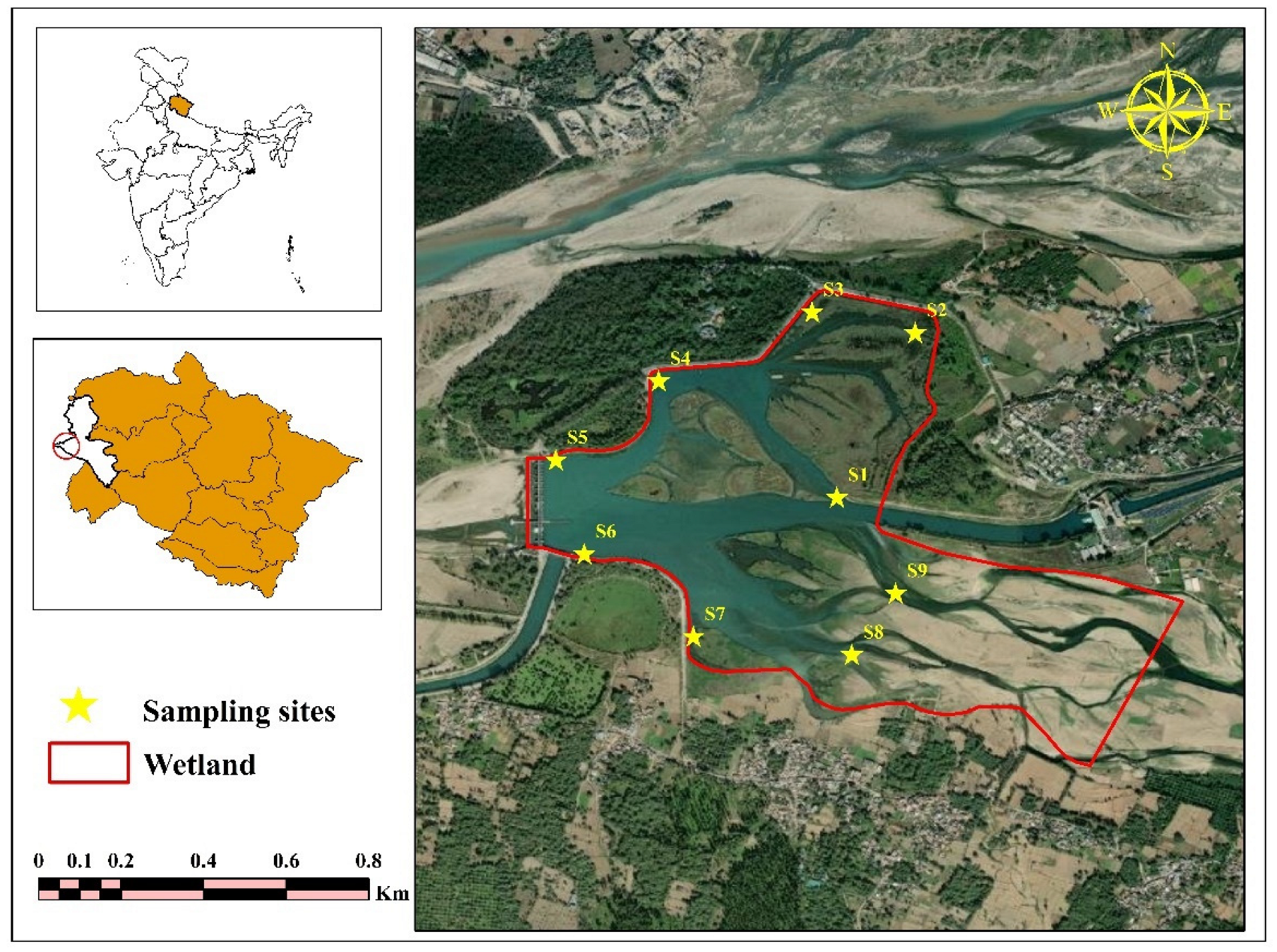Sustainability 15 09494 g001