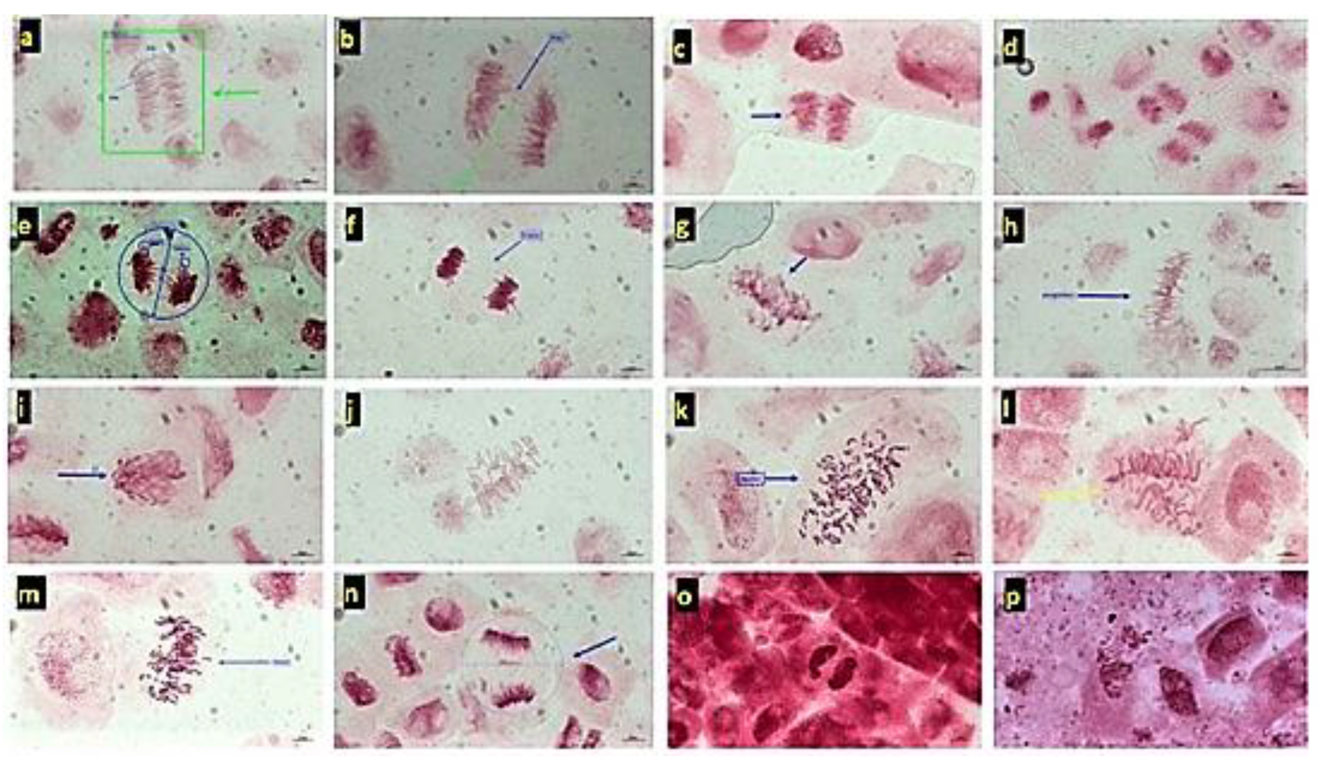 Sustainability 15 09505 g004 Sustainability 15 09505 g004