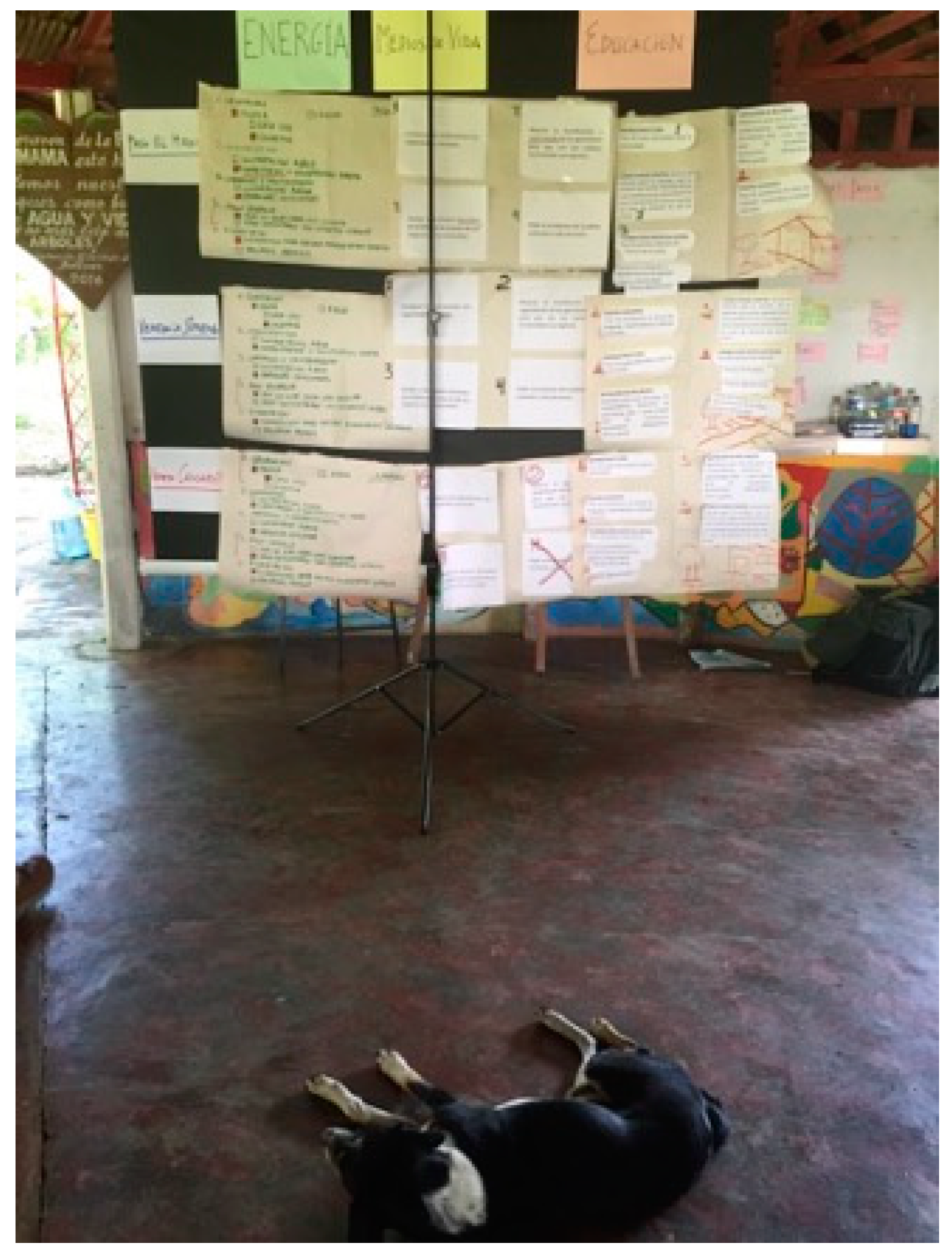 Sustainability 15 09521 g005