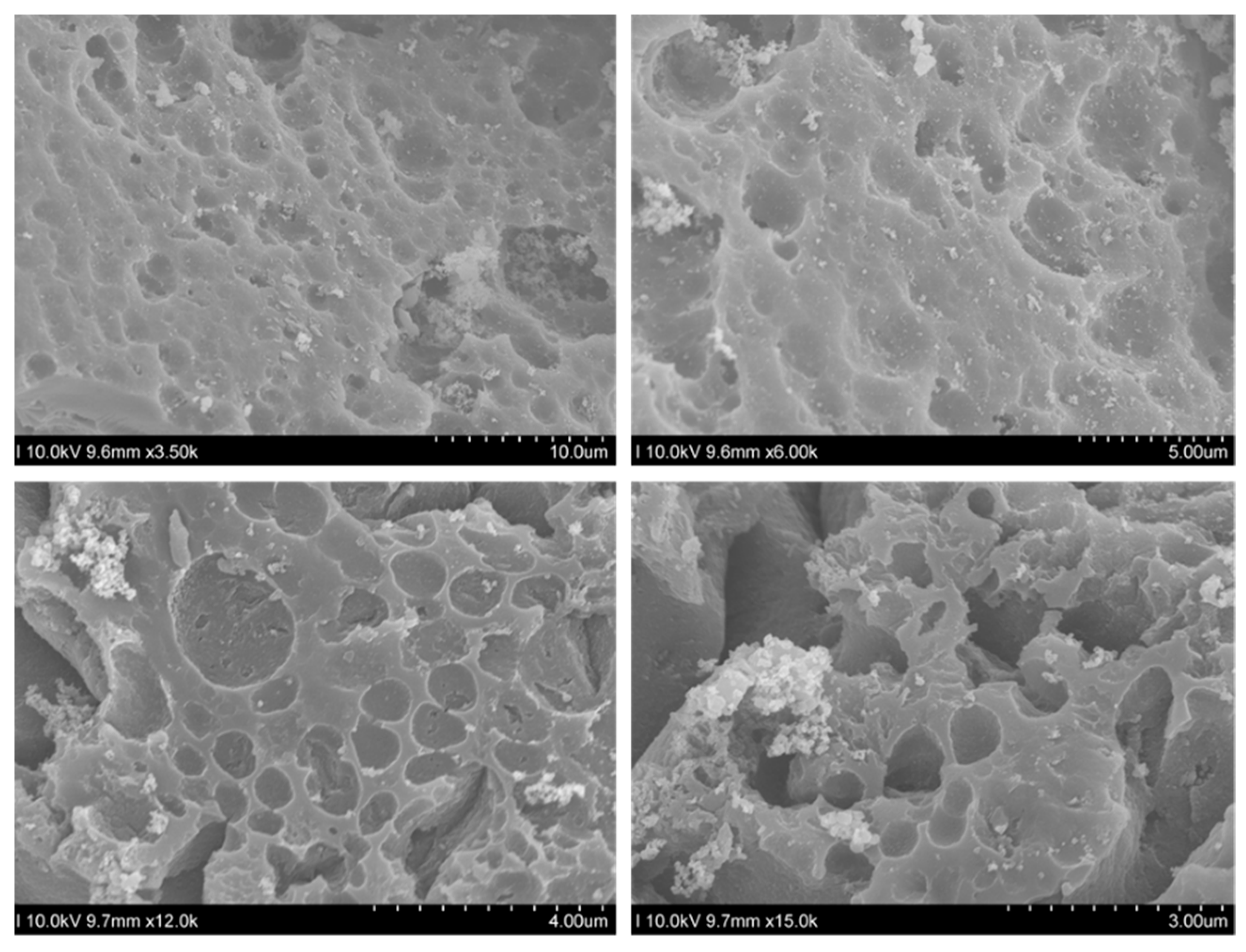 Sustainability 15 09534 g003