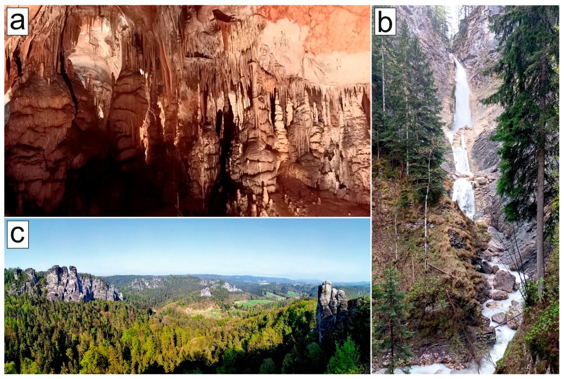 Sustainability 15 09539 g005