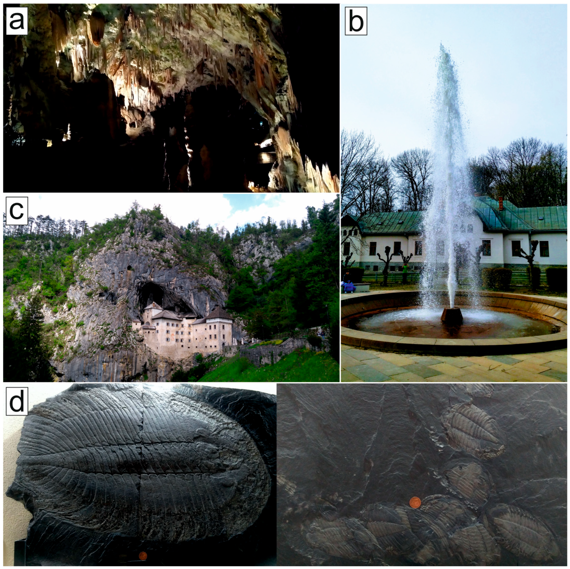 Sustainability 15 09539 g006