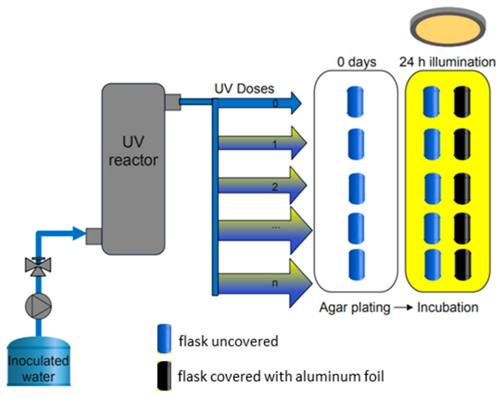 Sustainability 15 09559 g004 Sustainability 15 09559 g004