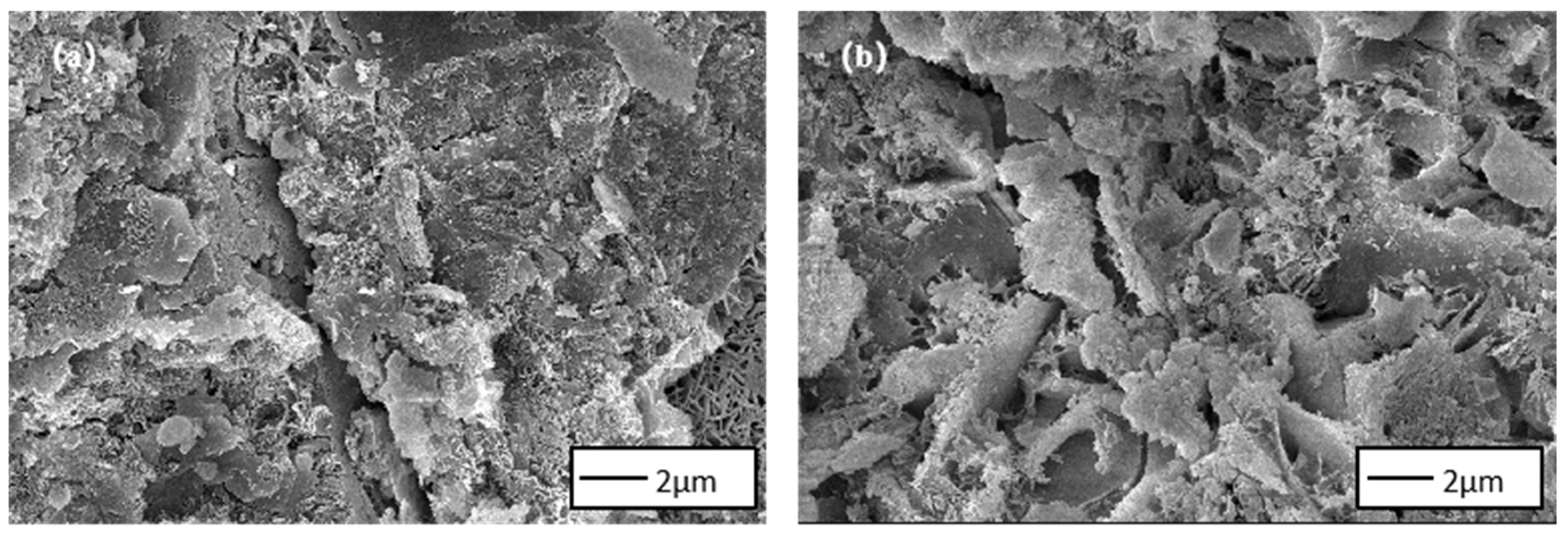 Sustainability 15 09569 g008