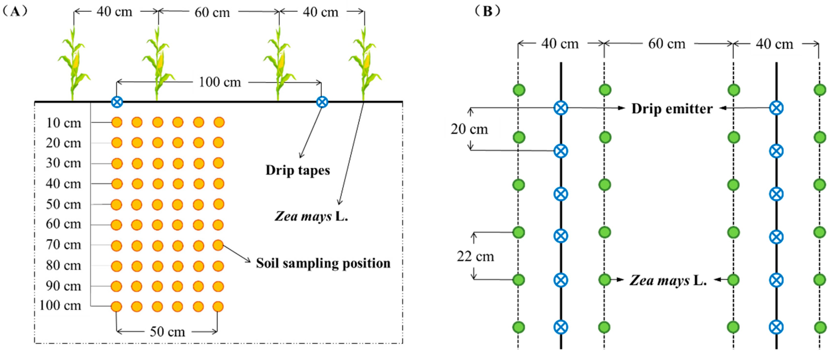 Sustainability 15 09602 g001