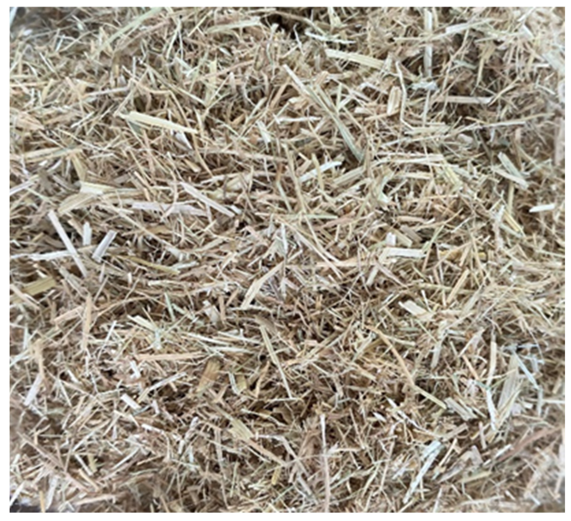 Sustainability 15 09608 g004