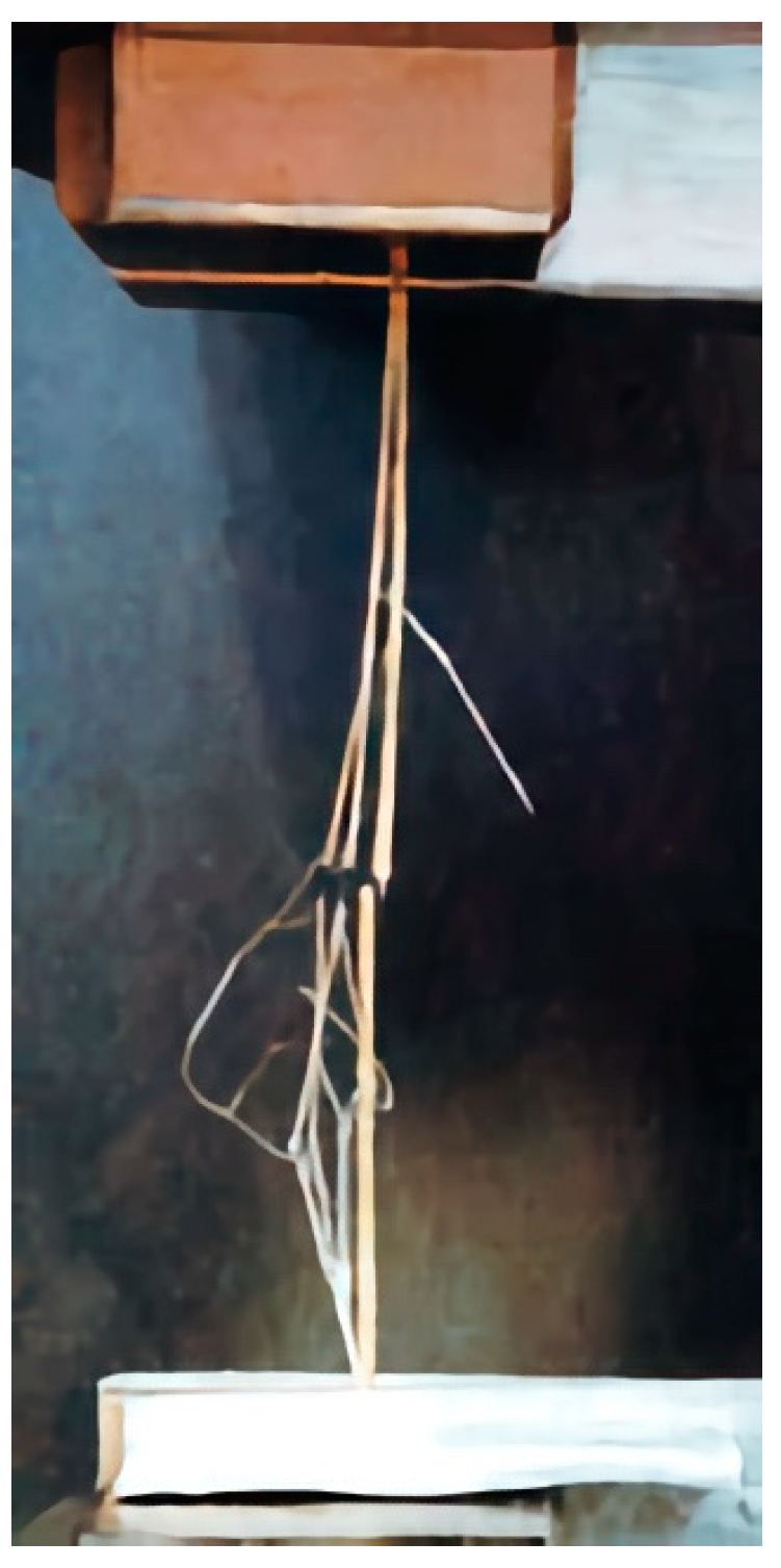 Sustainability 15 09610 g003