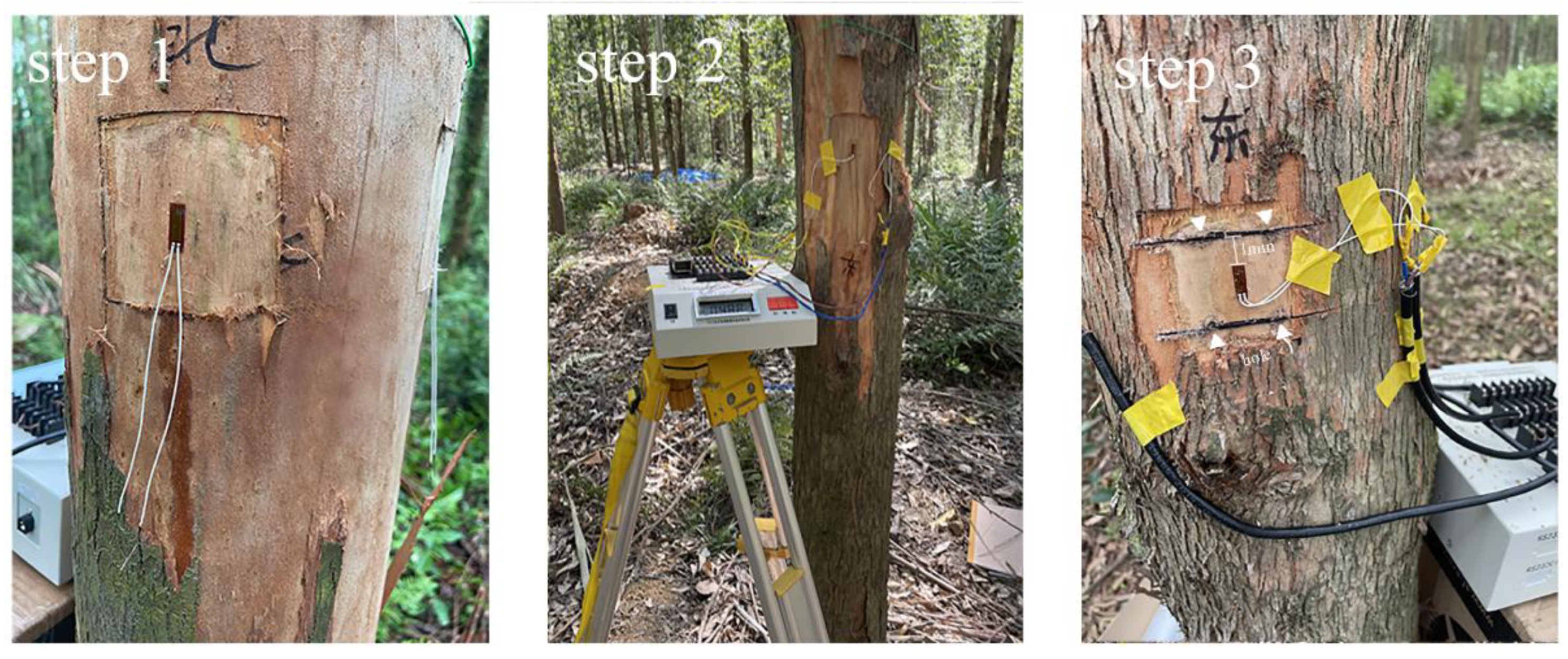 Sustainability 15 09624 g002