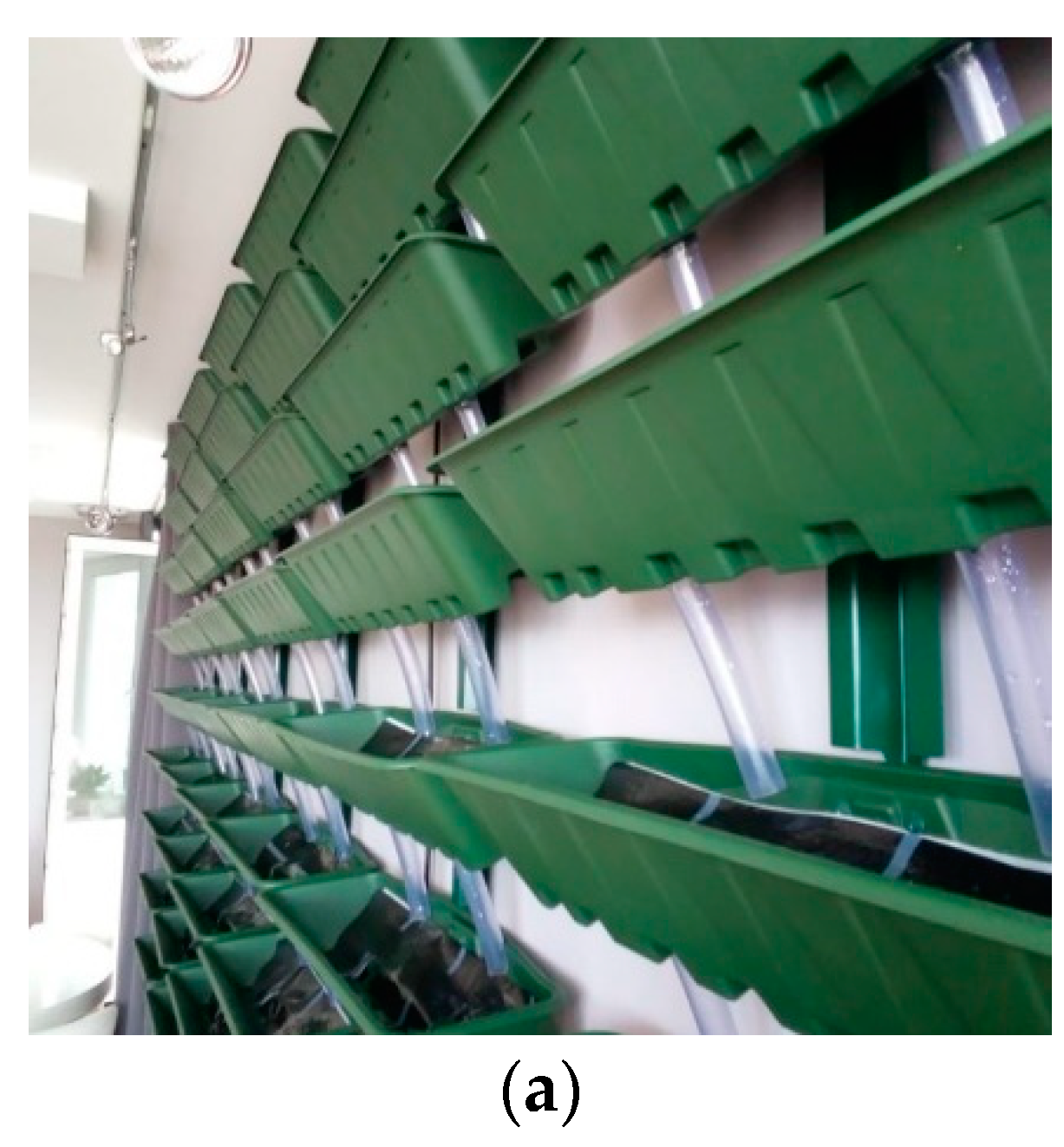 Sustainability 15 09732 g003a