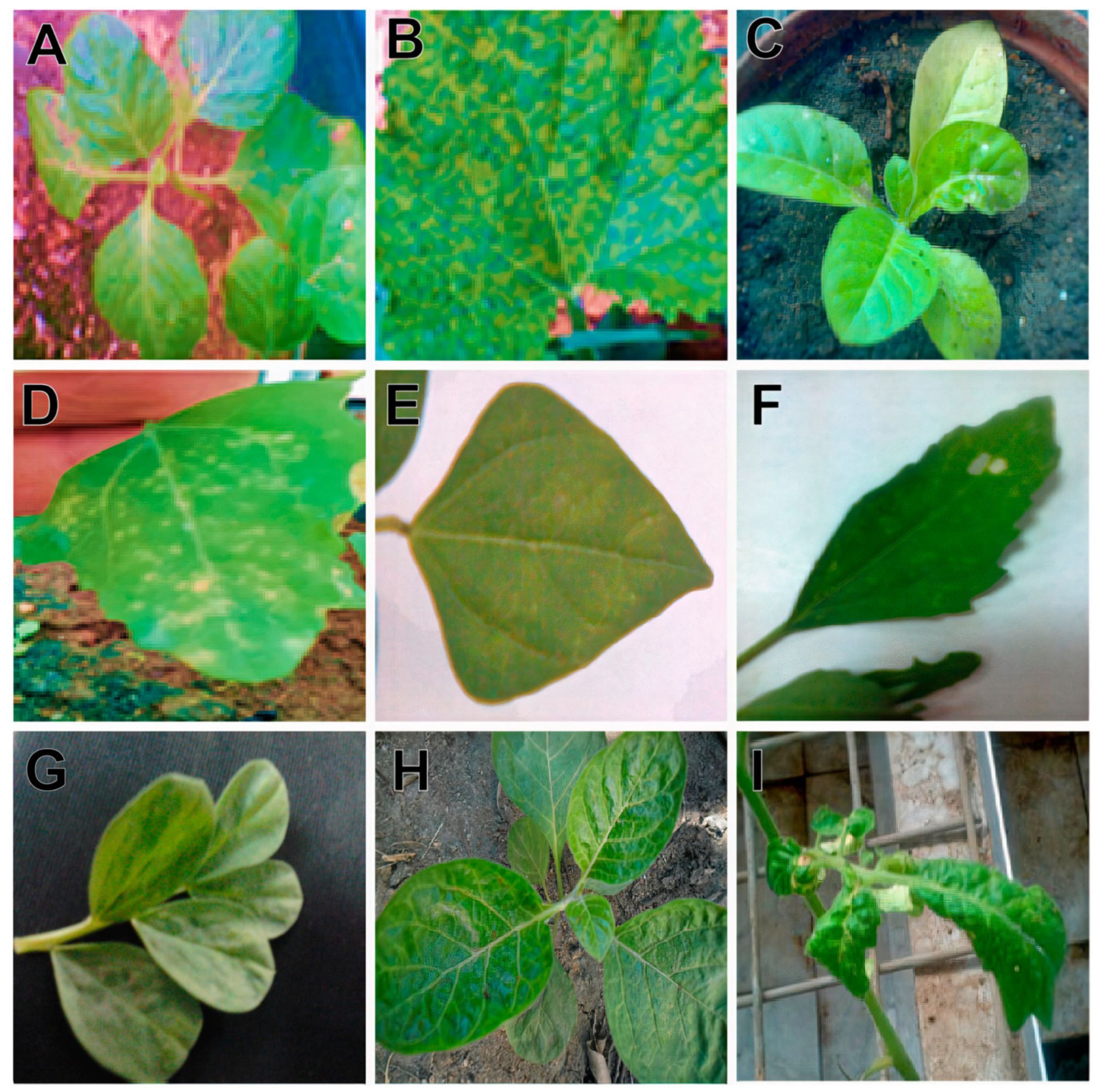 Sustainability 15 09751 g002
