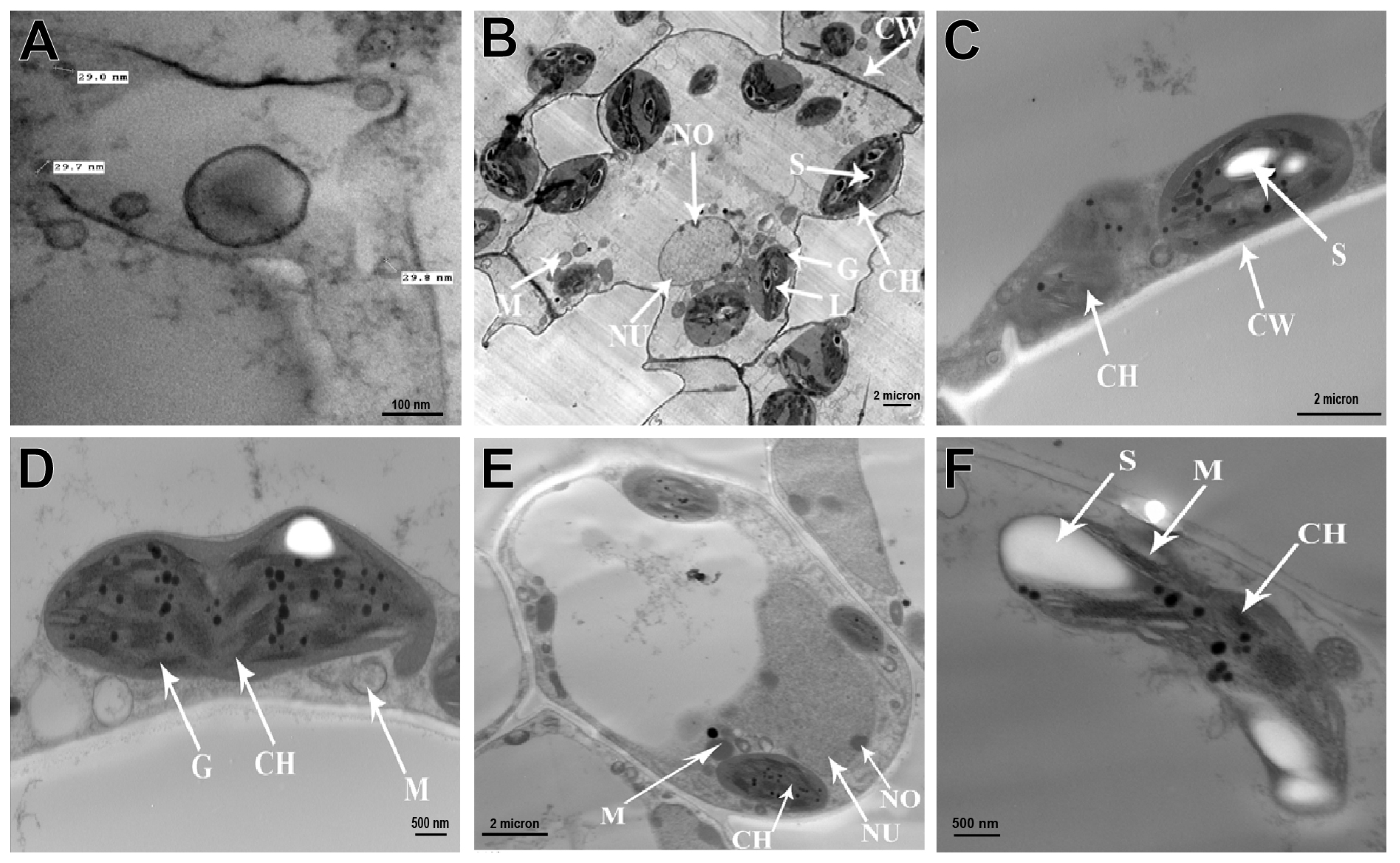 Sustainability 15 09751 g005
