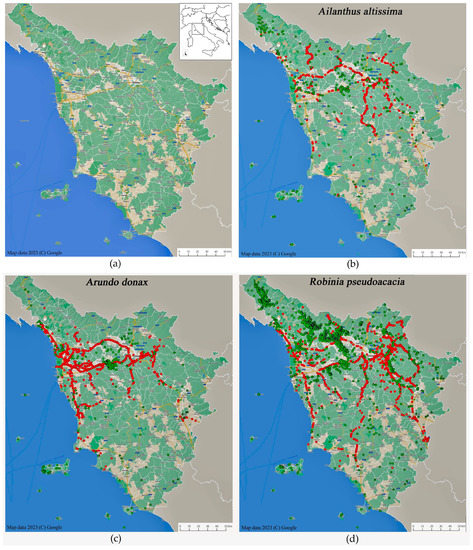 Sustainability 15 09814 g001