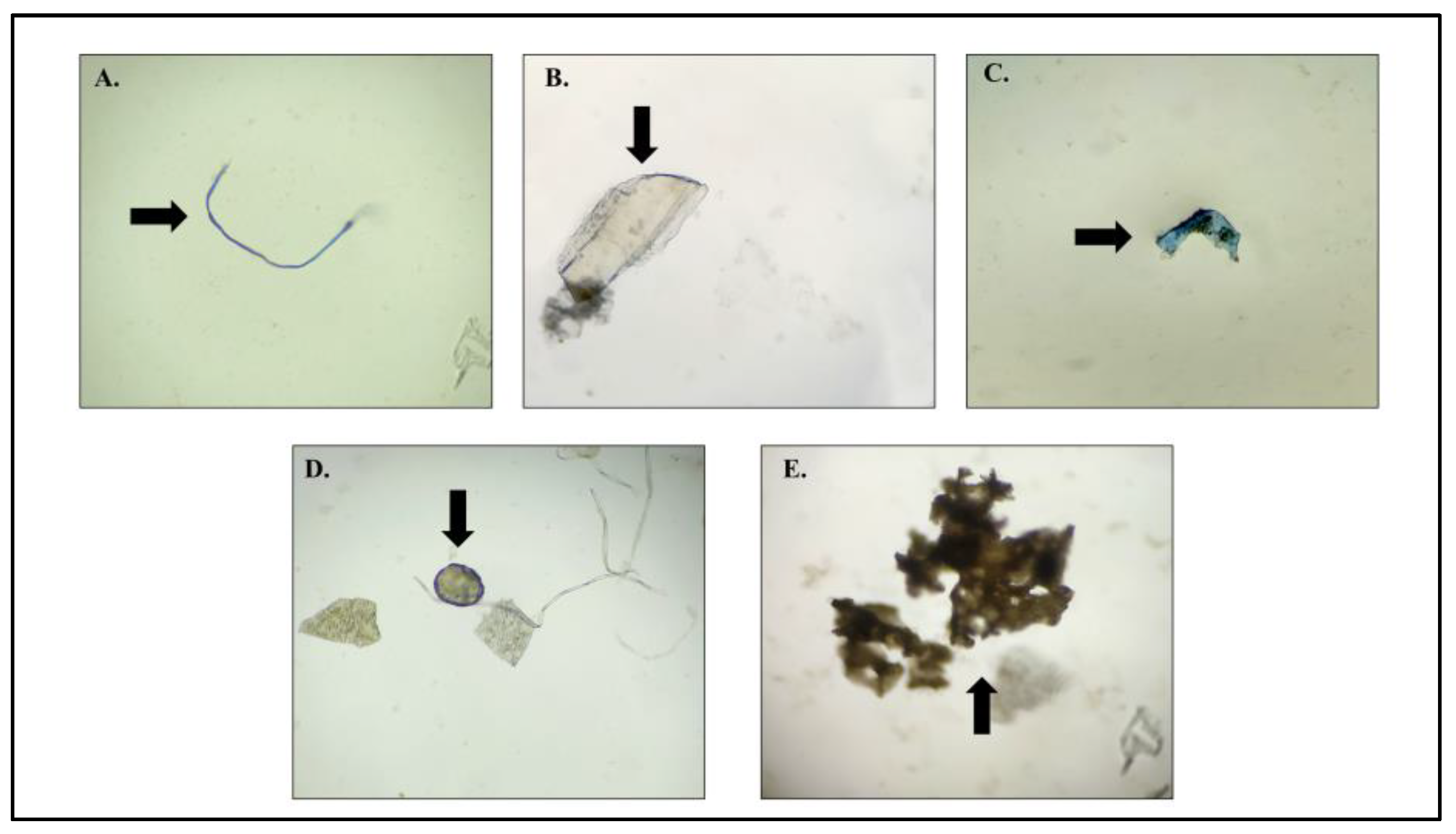 Sustainability 15 09836 g006