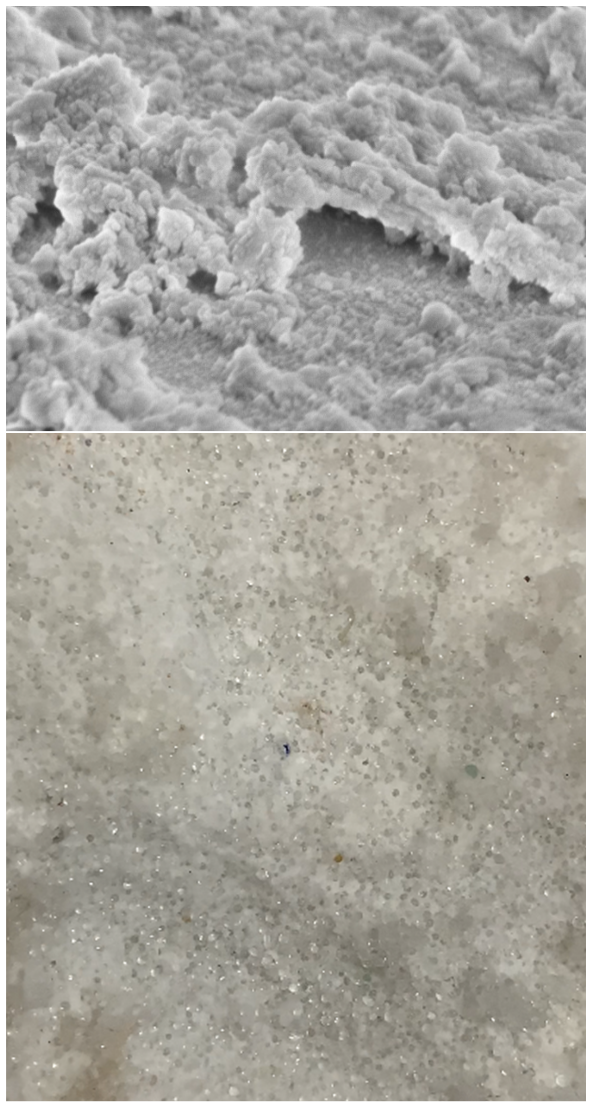 Sustainability 15 09841 g004 Sustainability 15 09841 g004