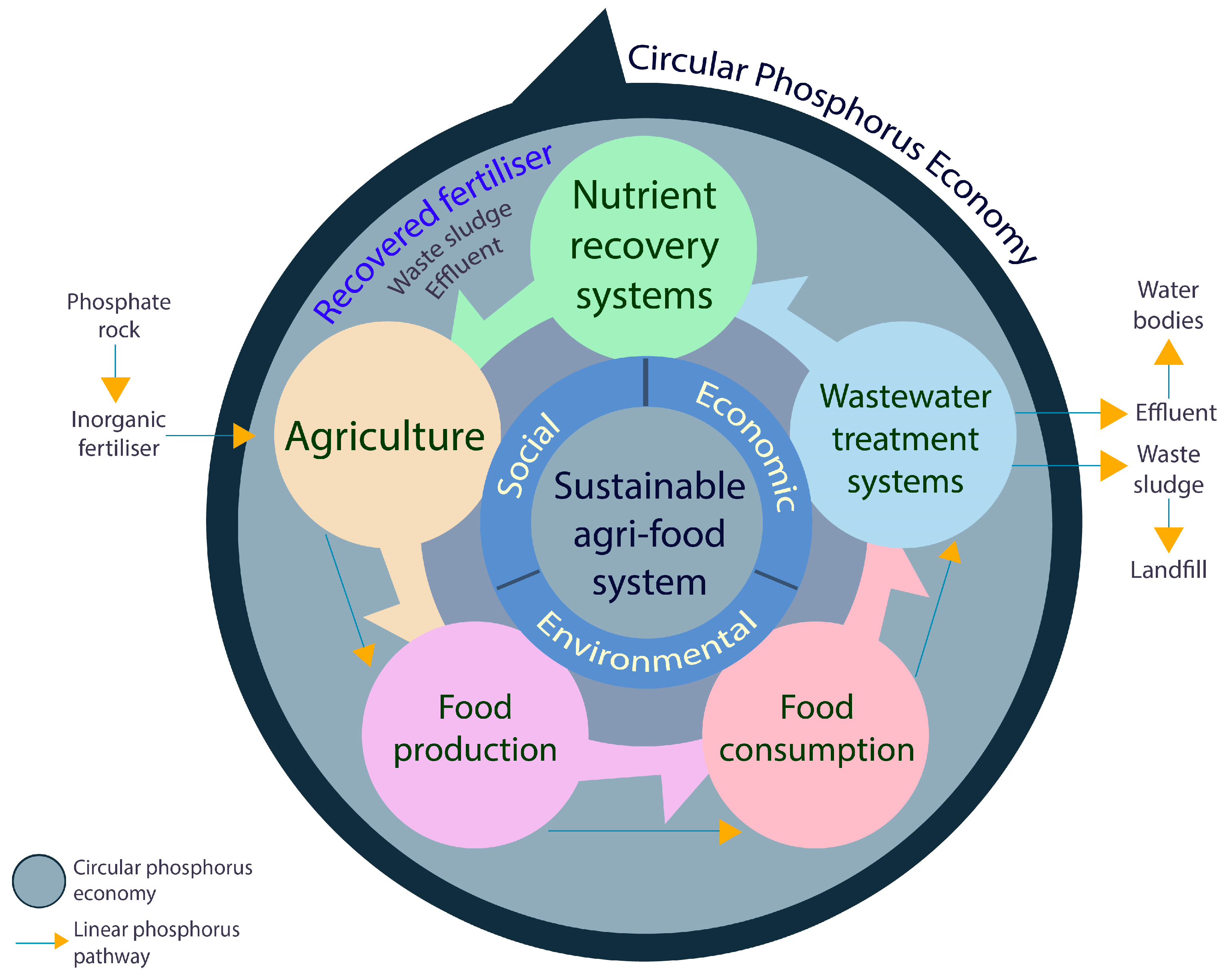 Sustainability 15 09904 g006