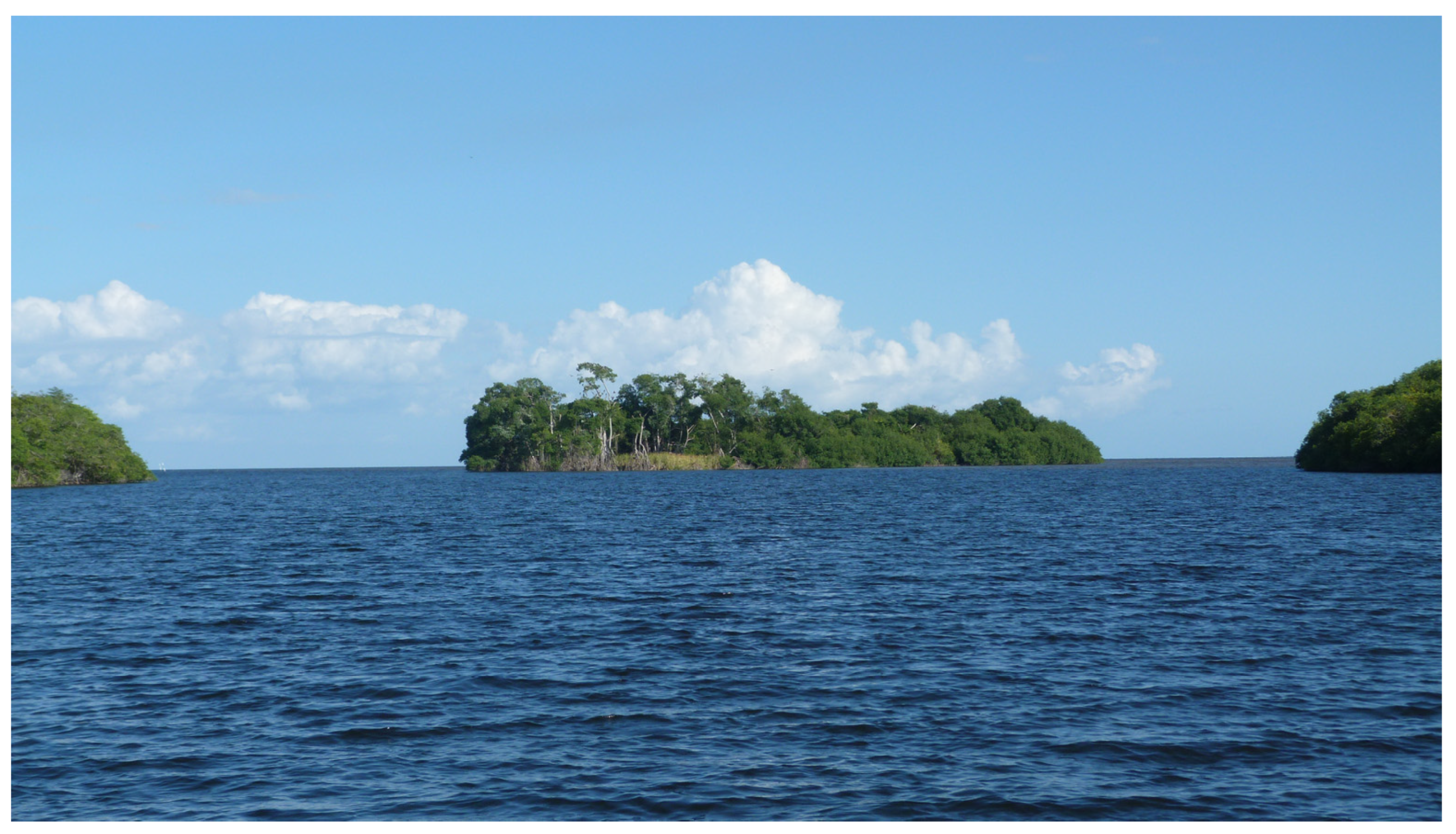 Sustainability 15 09922 g003