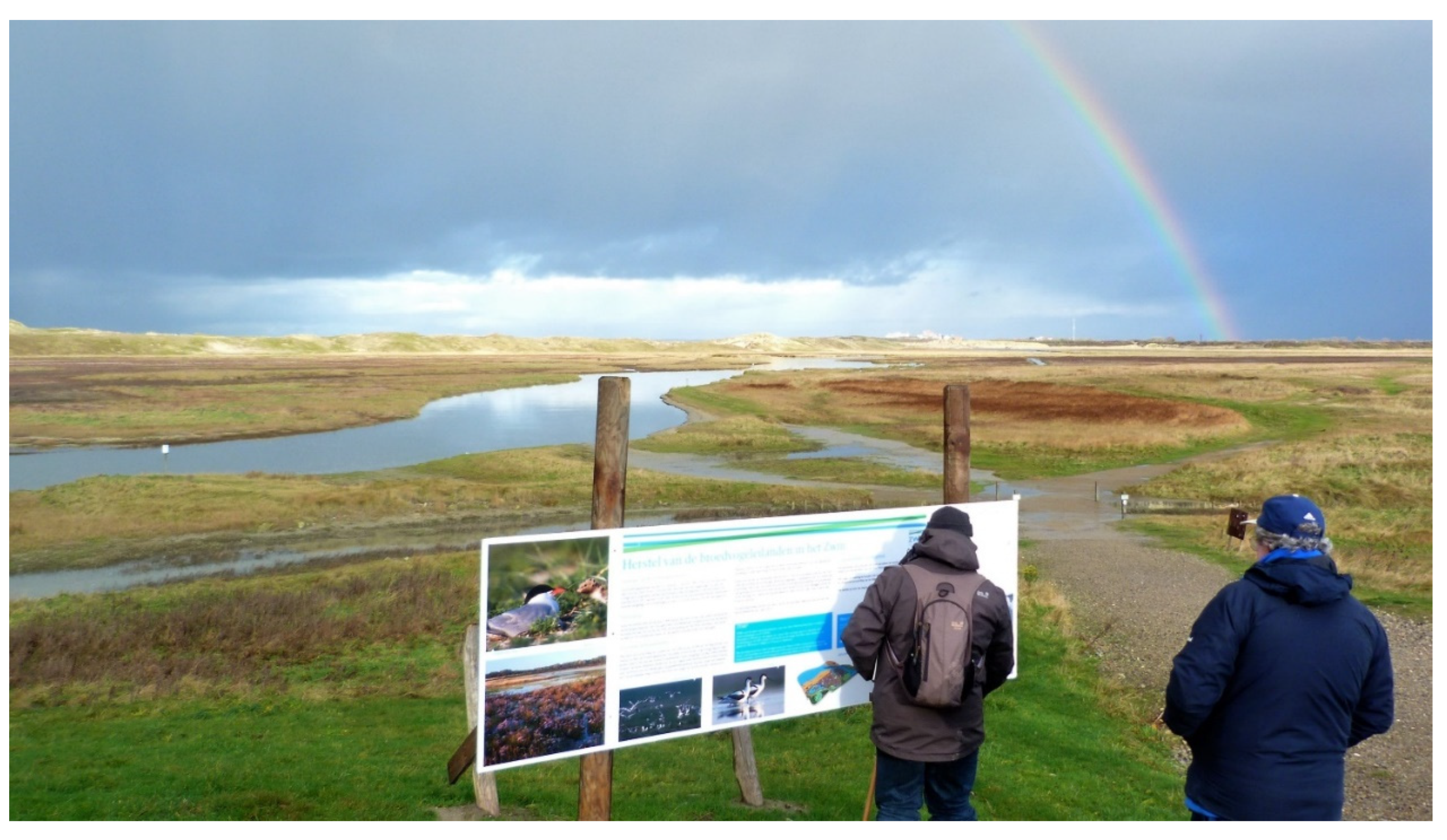 Sustainability 15 09922 g008