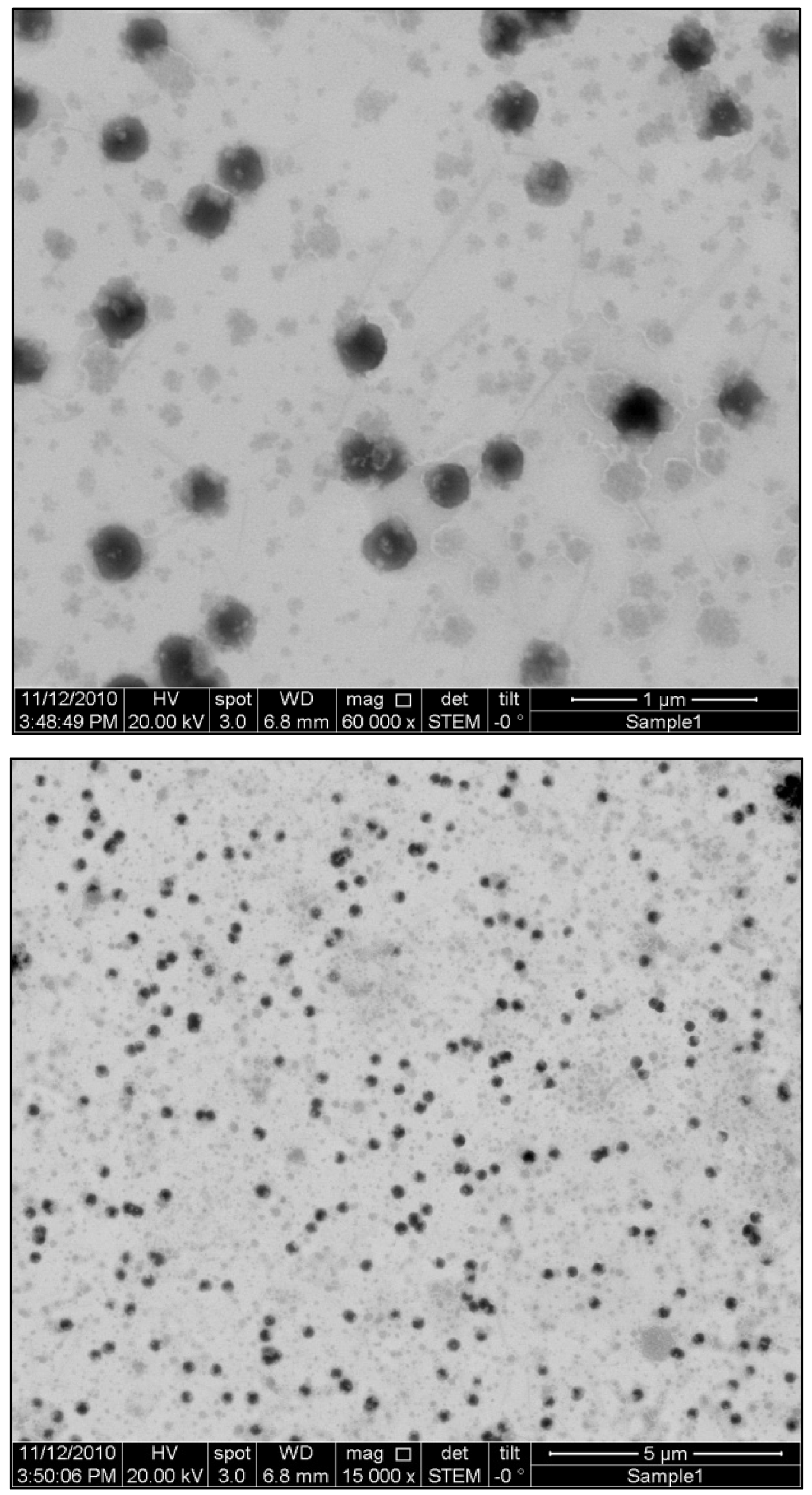 Sustainability 15 09929 g004