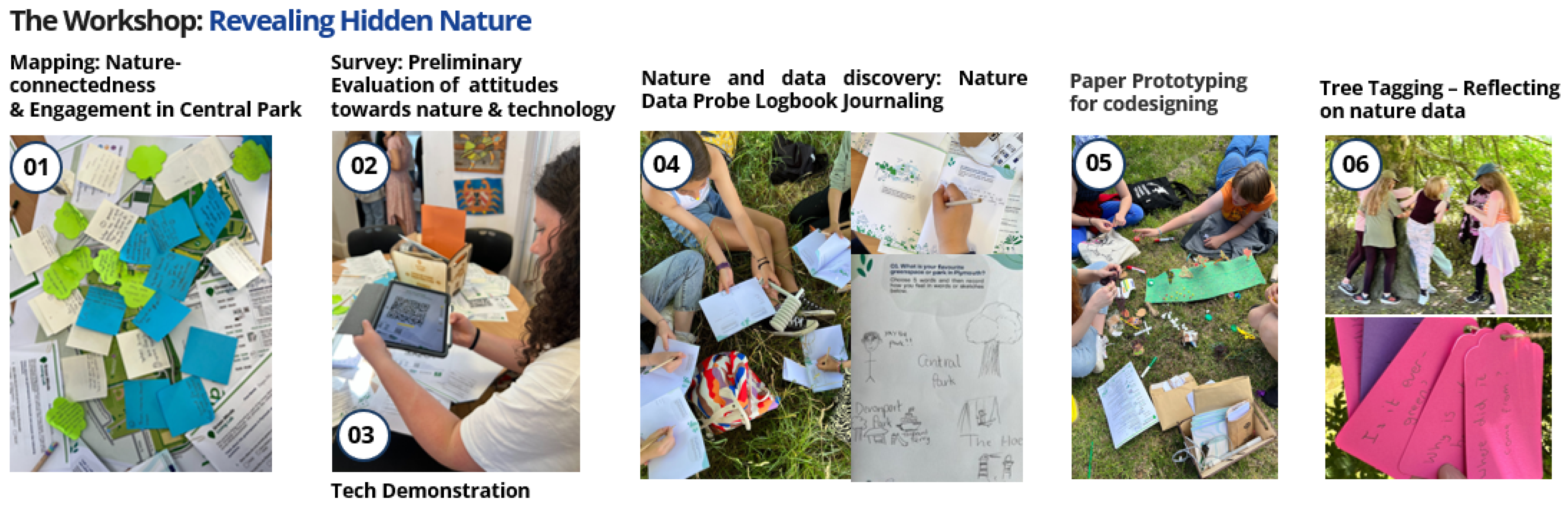 Sustainability 15 09930 g006