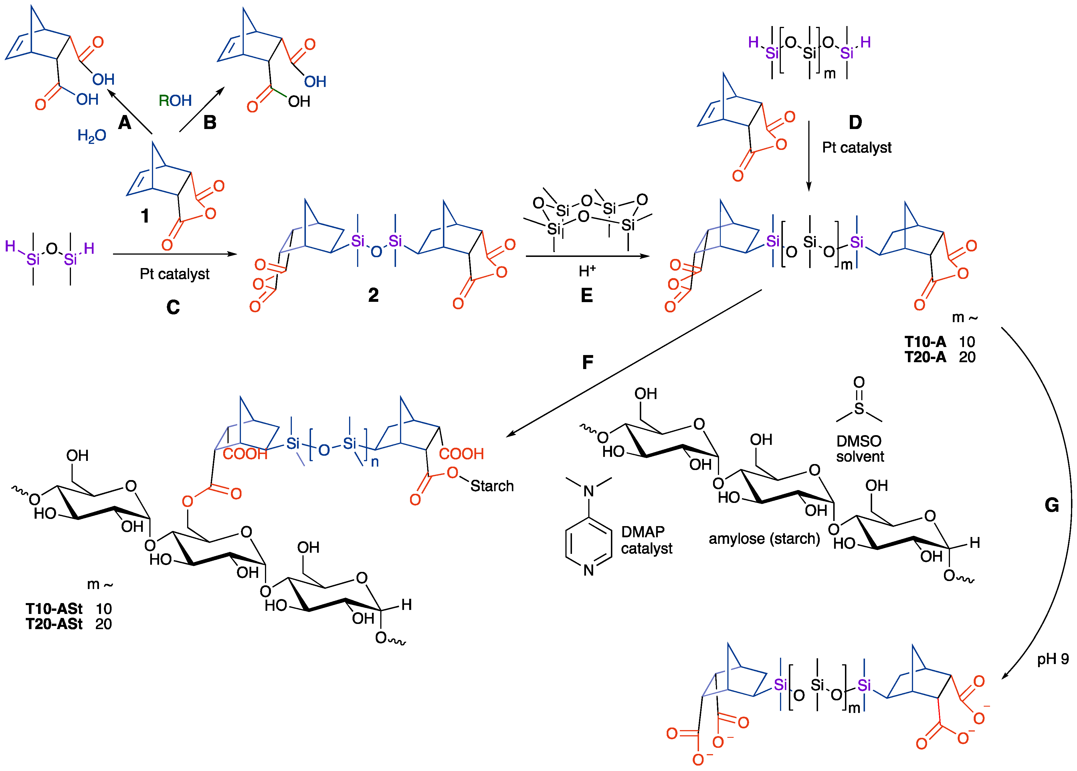 Sustainability 15 09941 g001