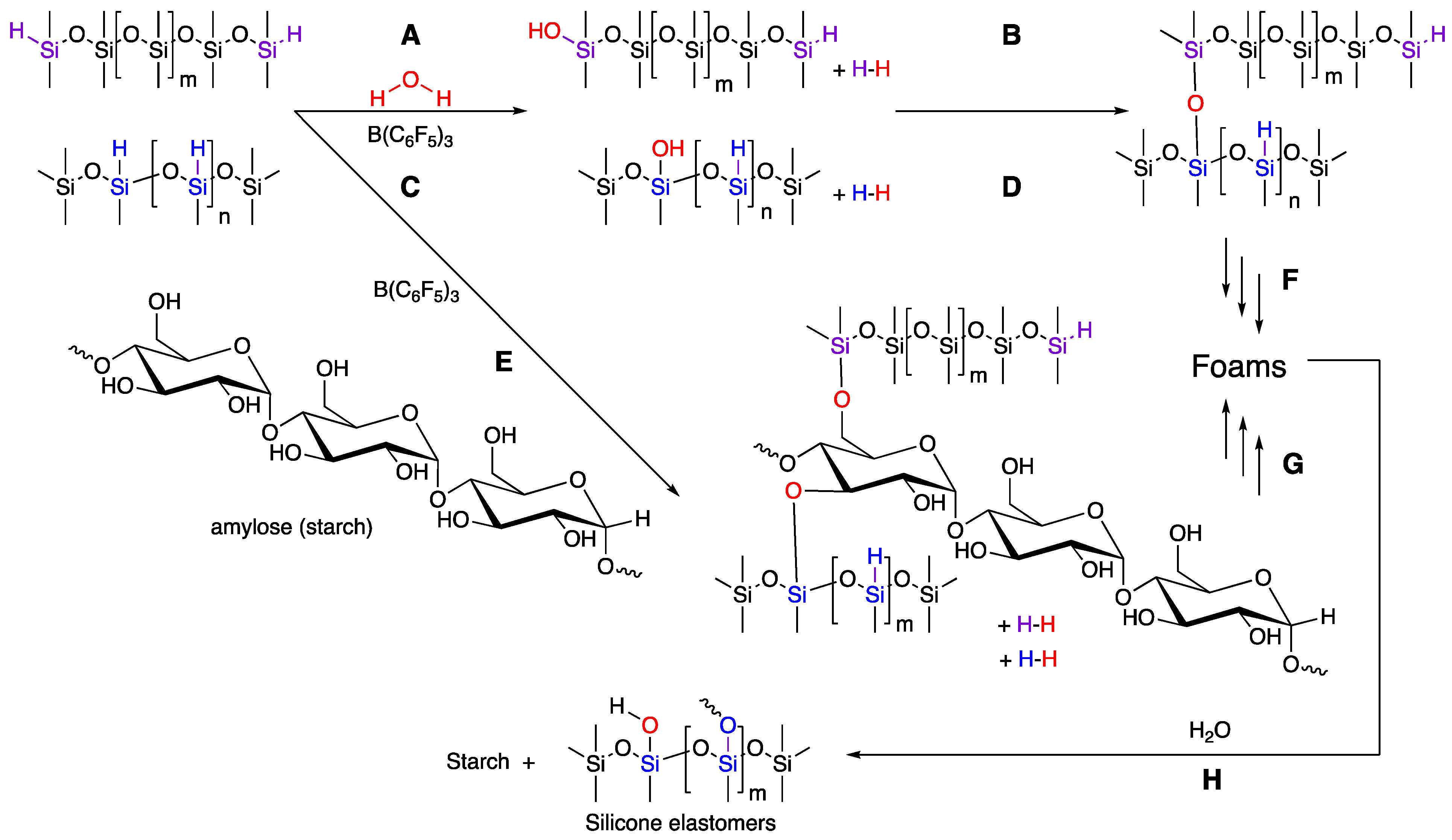 Sustainability 15 09941 g002