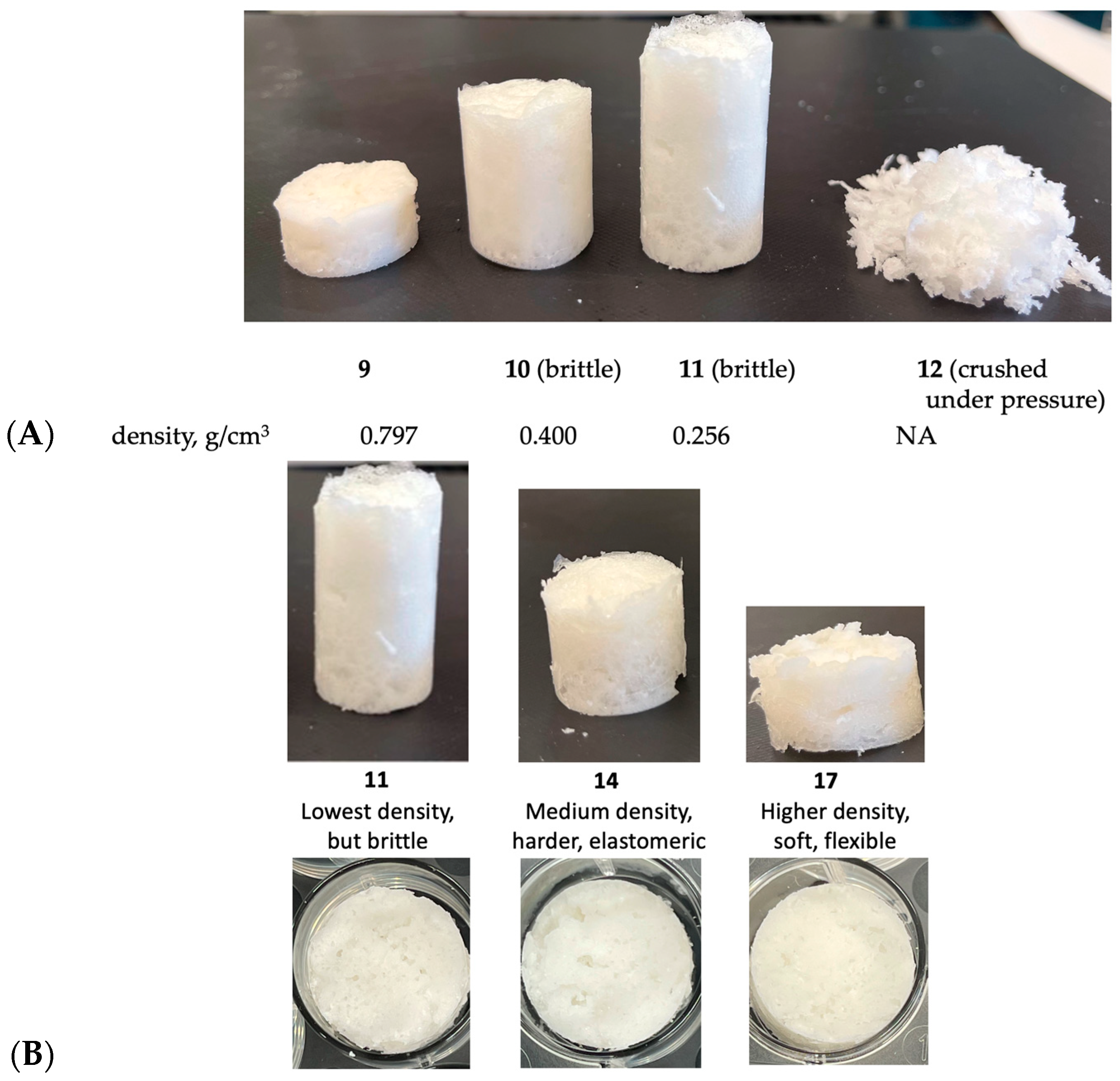 Sustainability 15 09941 g003