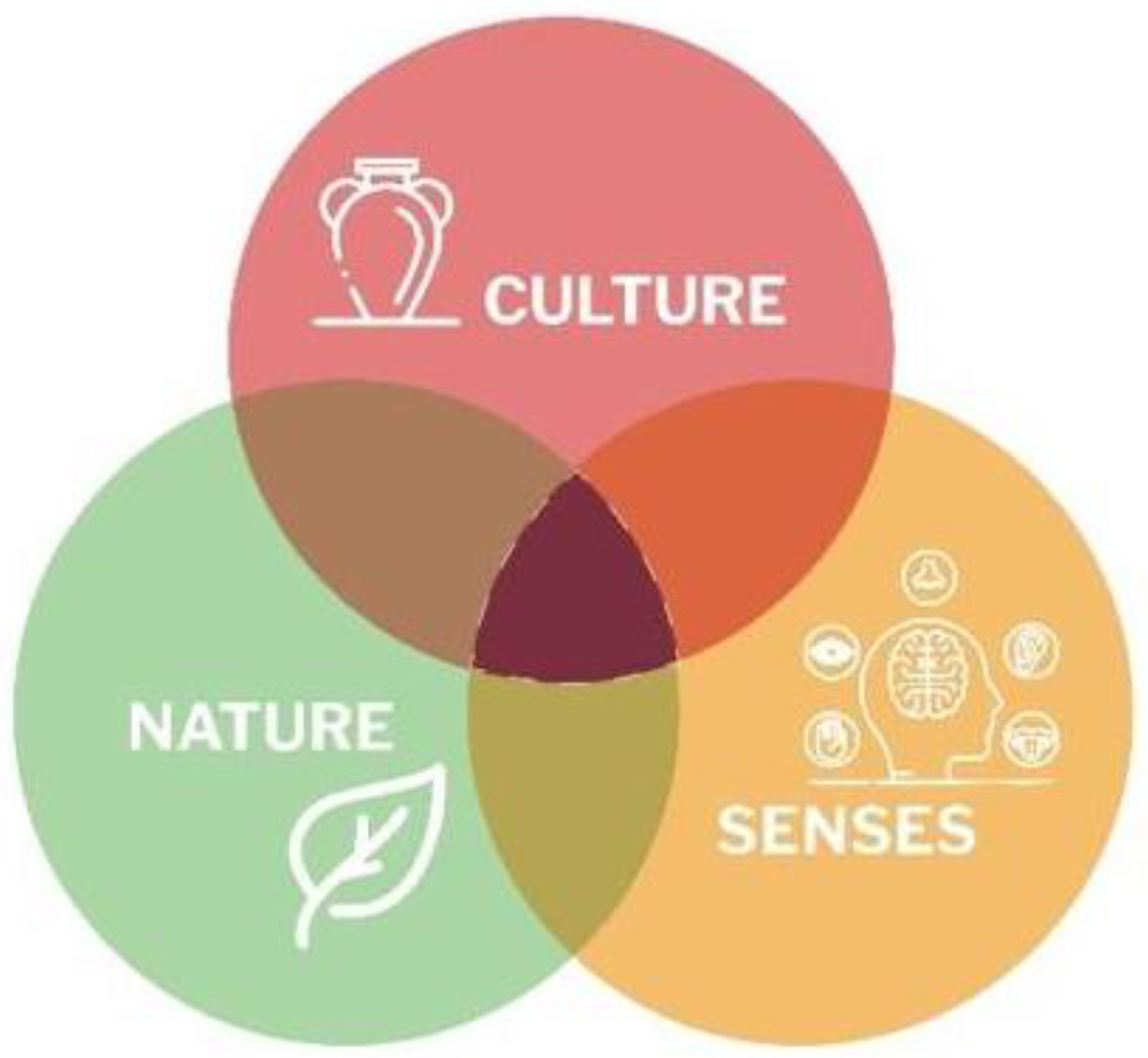 Sustainability 15 09953 g002