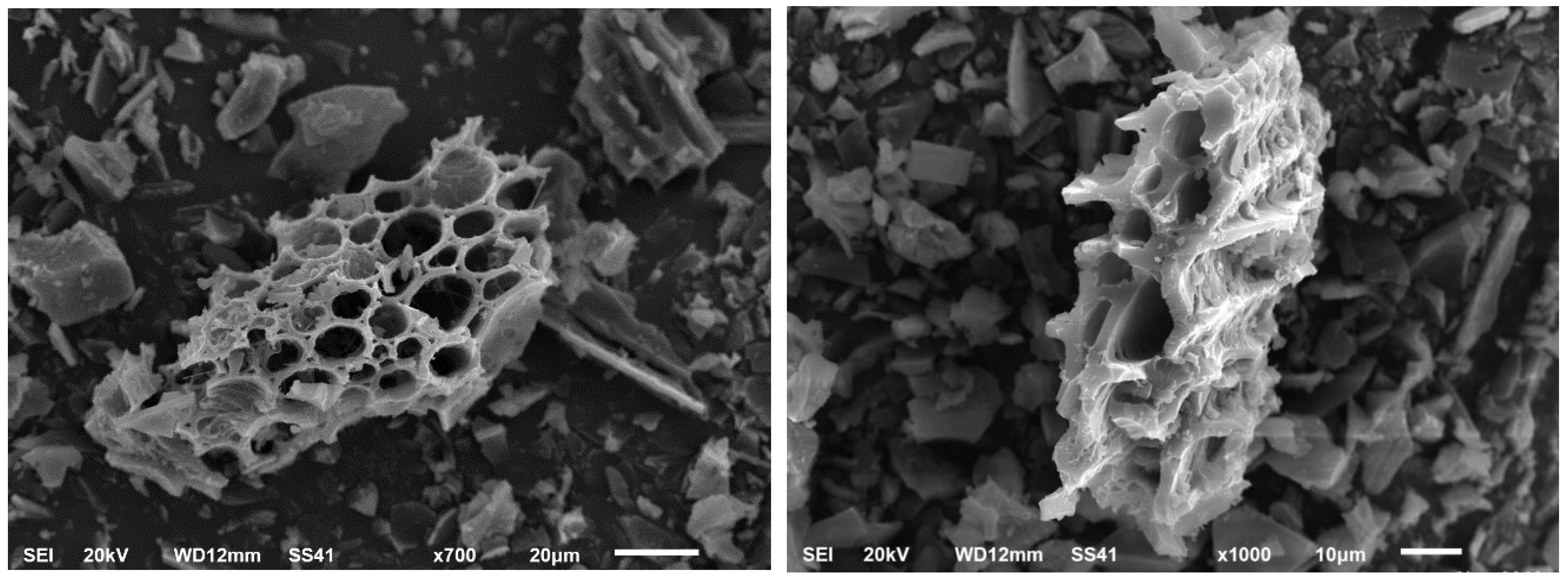 Sustainability 15 10003 g002