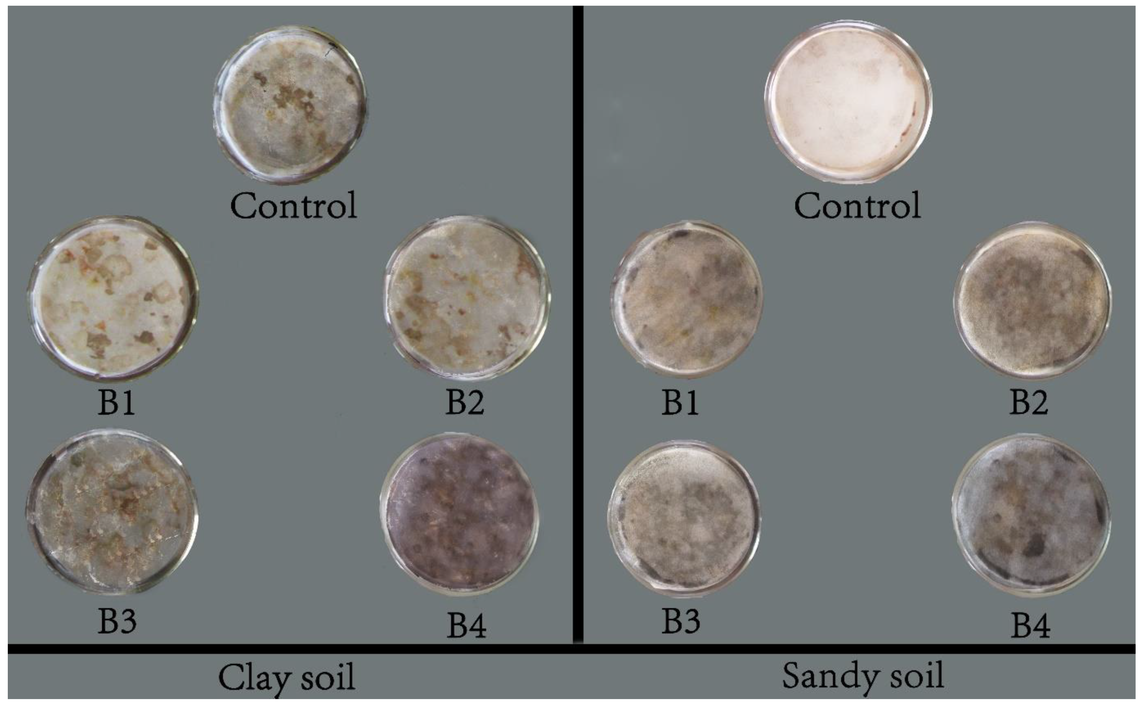 Sustainability 15 10003 g004