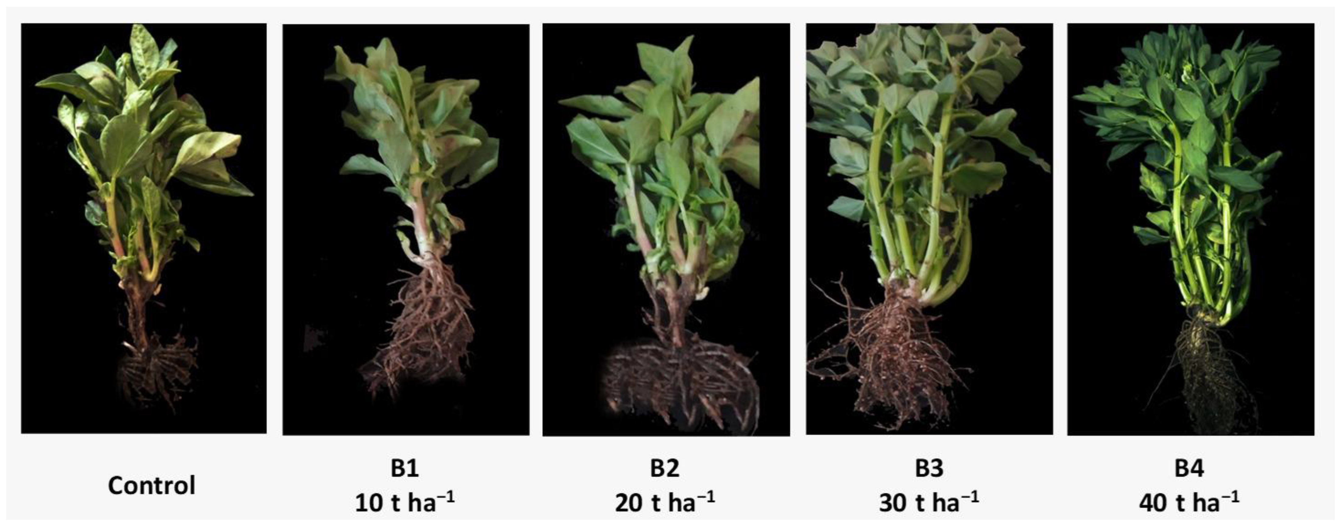 Sustainability 15 10003 g008