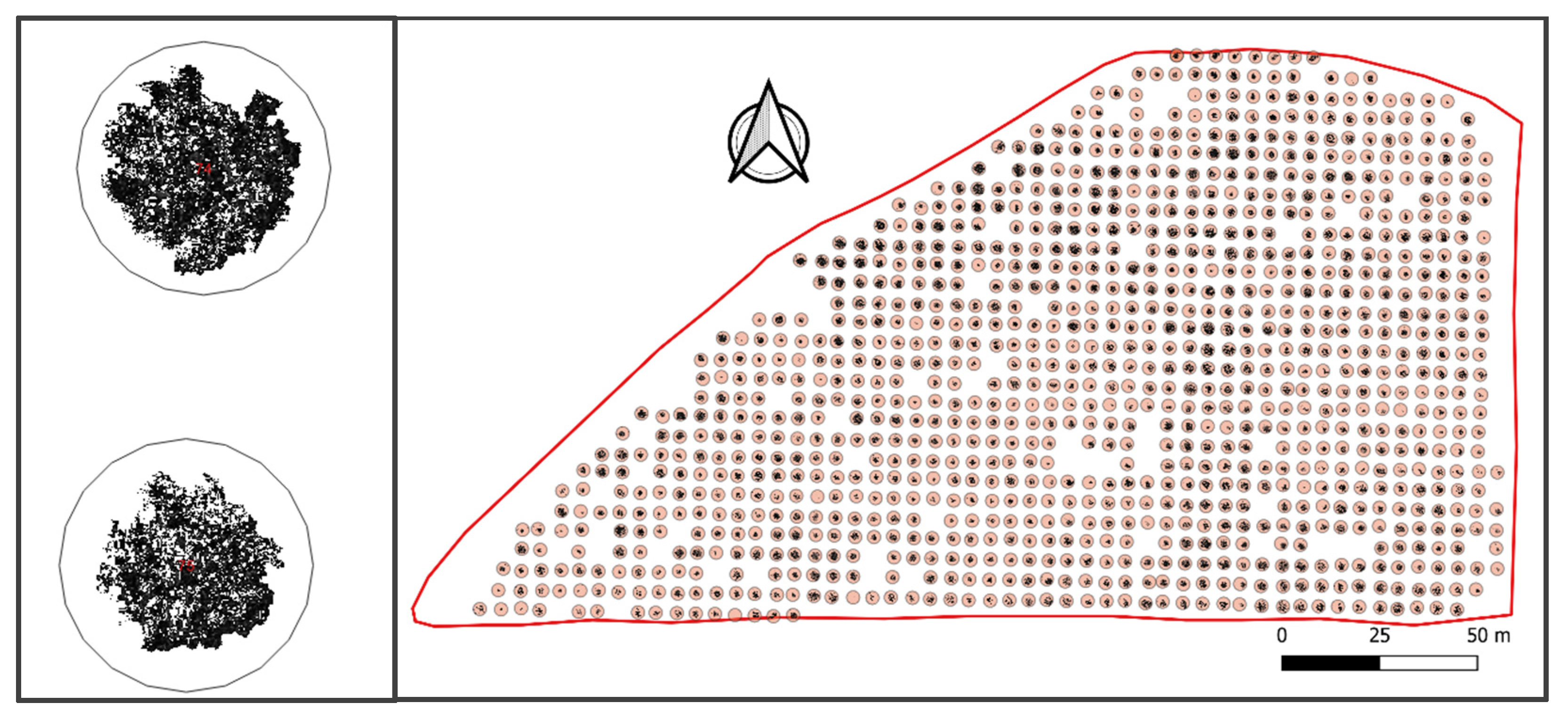 Sustainability 15 10106 g005