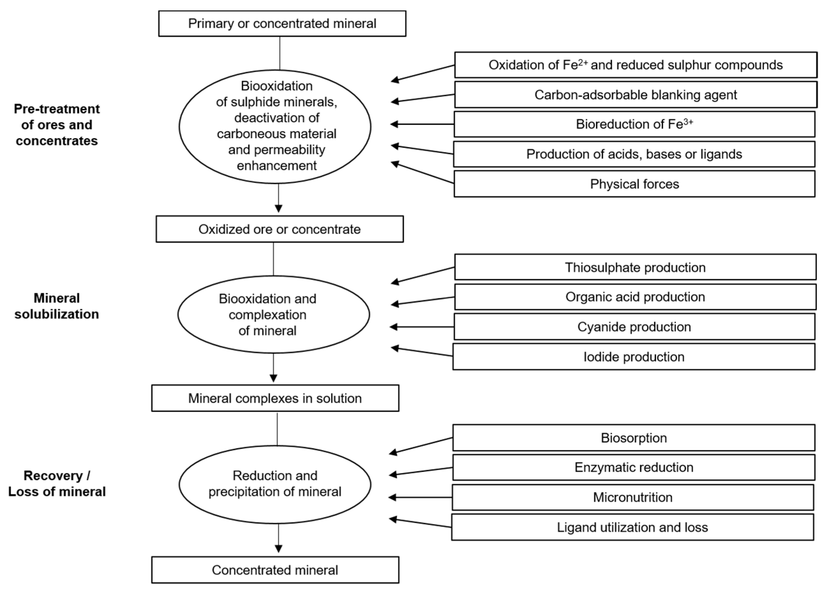 Sustainability 15 10222 g003 Sustainability 15 10222 g003