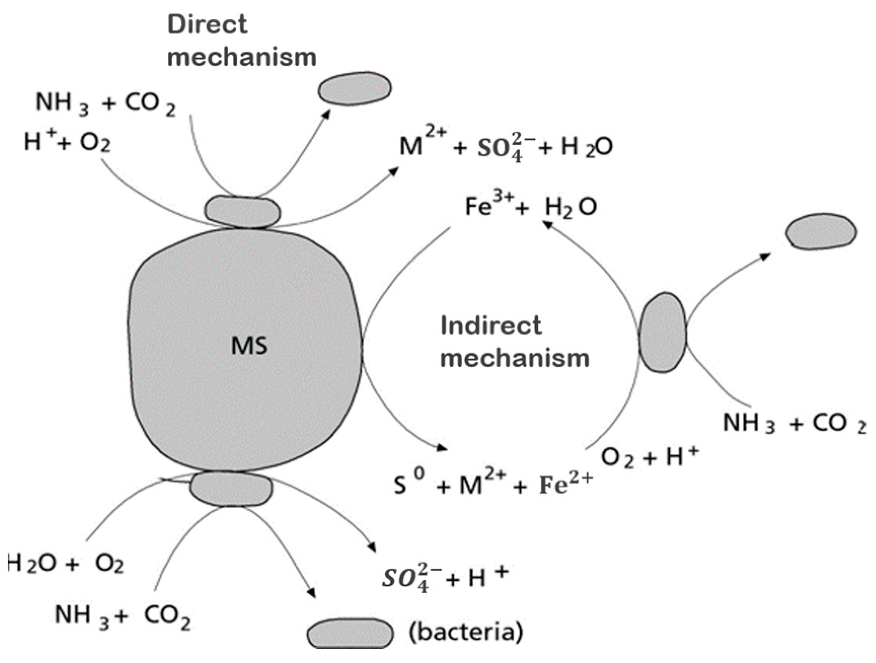 Sustainability 15 10222 g005 Sustainability 15 10222 g005