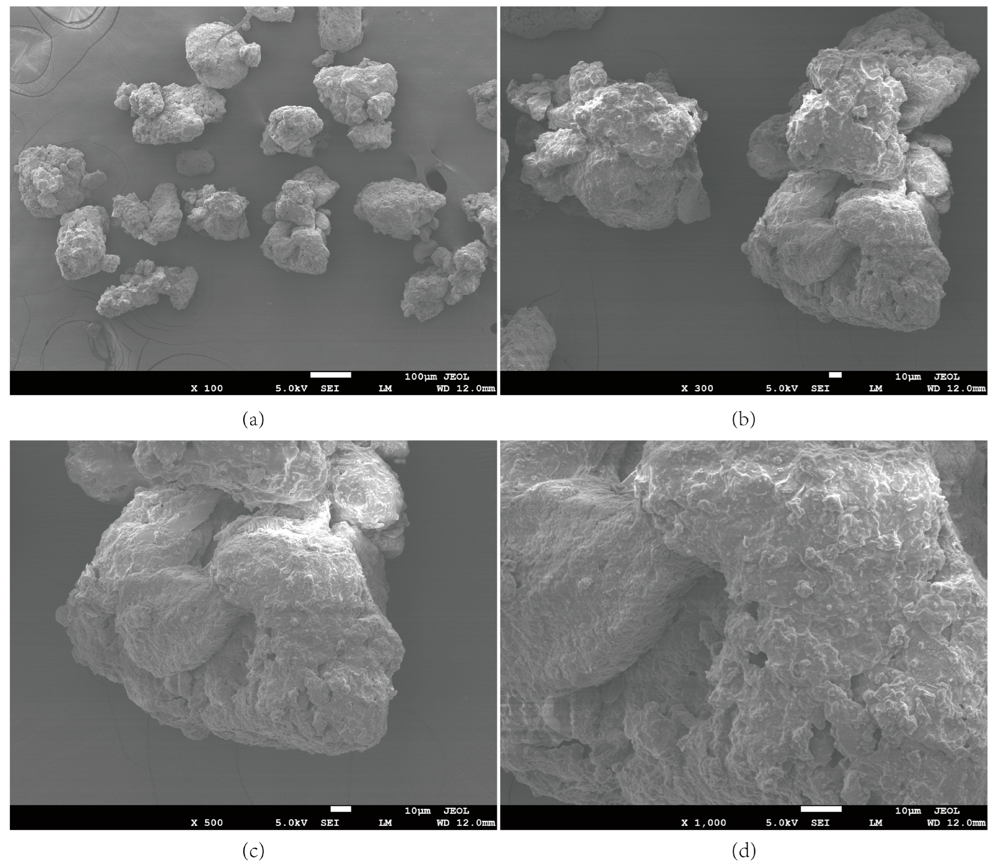 Sustainability 15 10224 g003