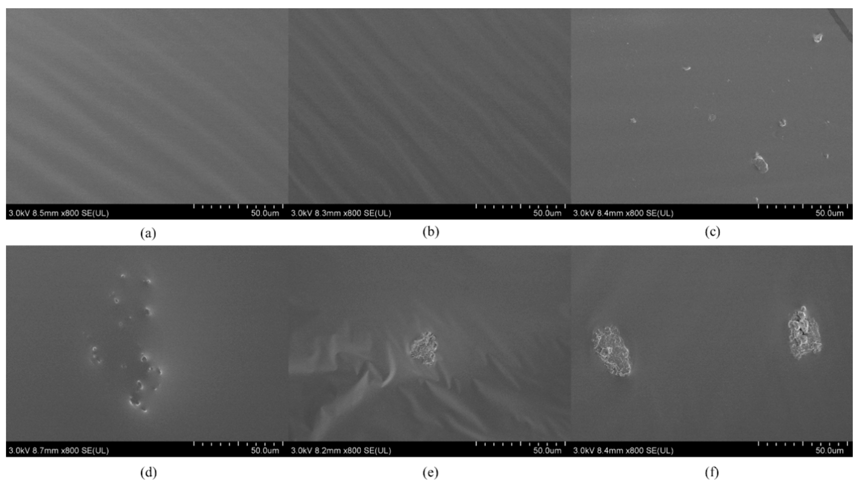 Sustainability 15 10224 g004