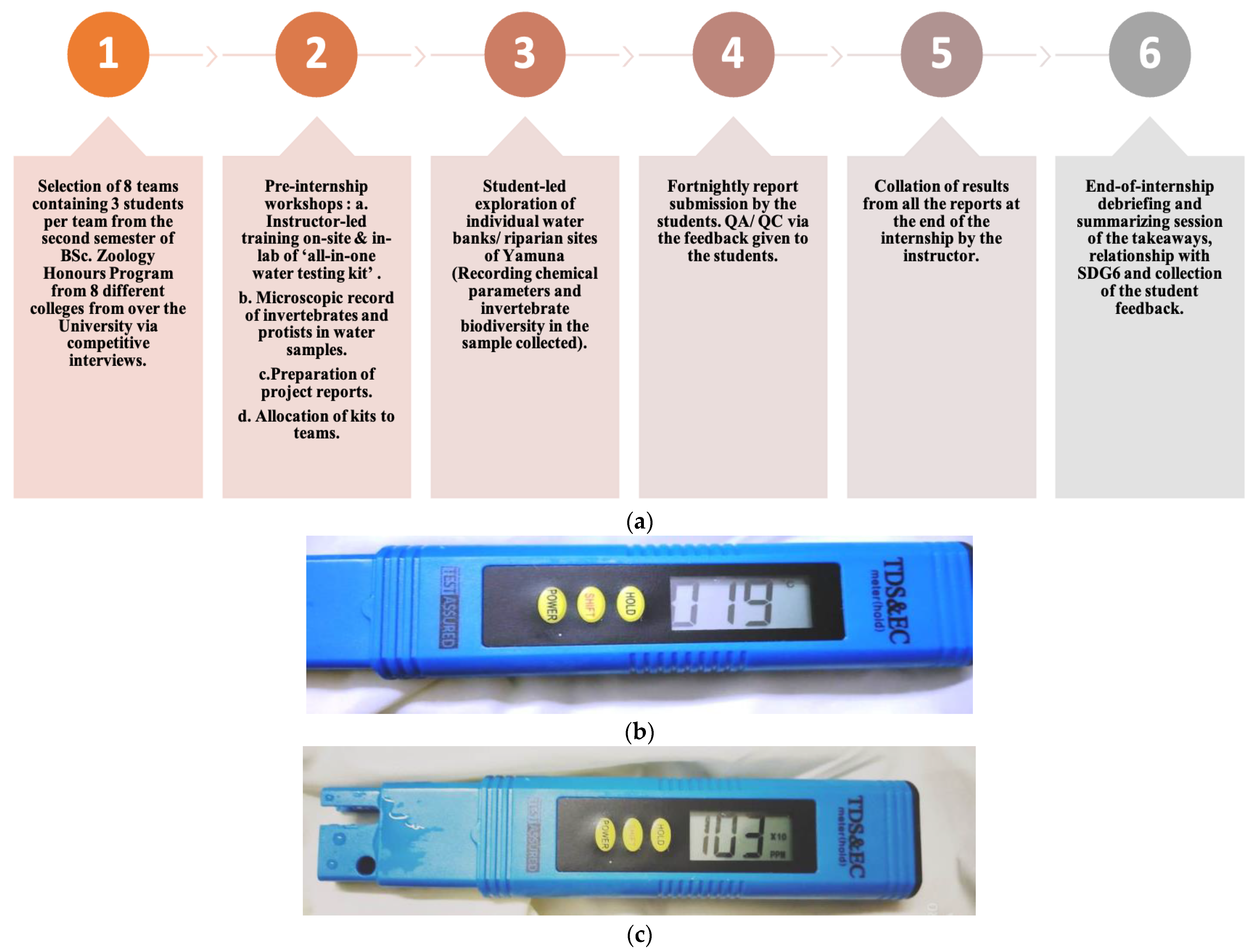 Sustainability 15 10350 g001