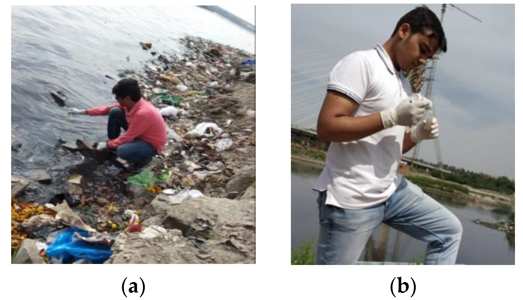 Sustainability 15 10350 g004