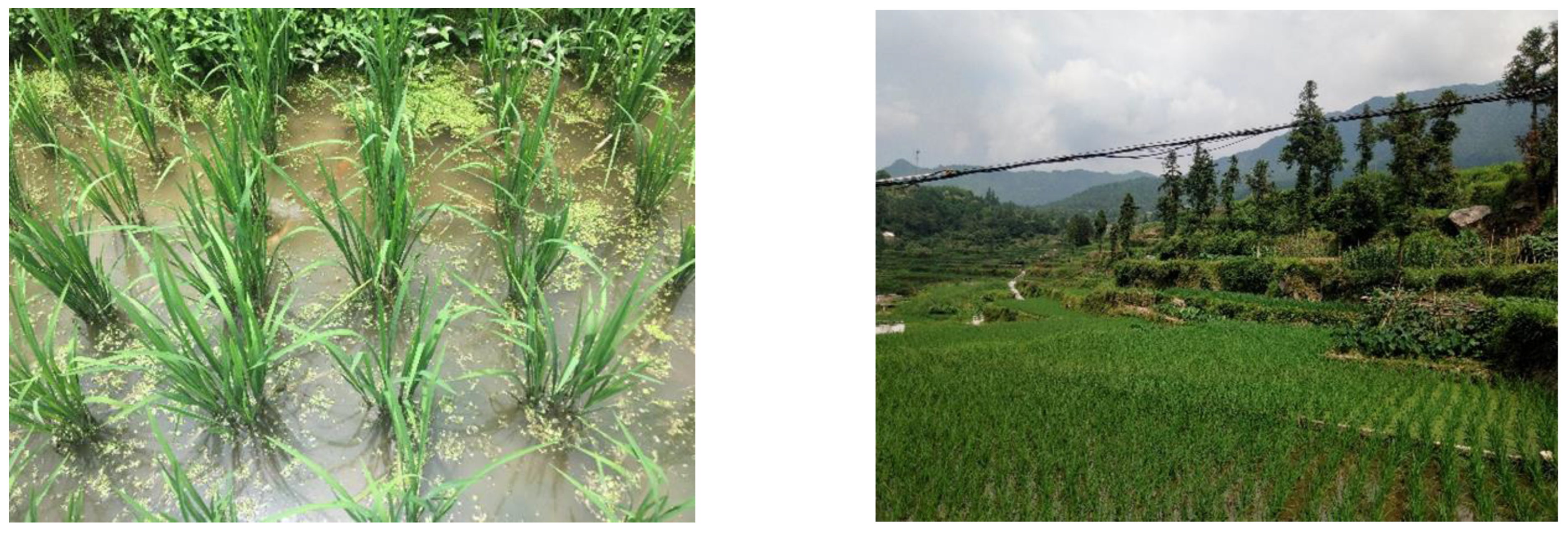 Sustainability 15 10407 sch001