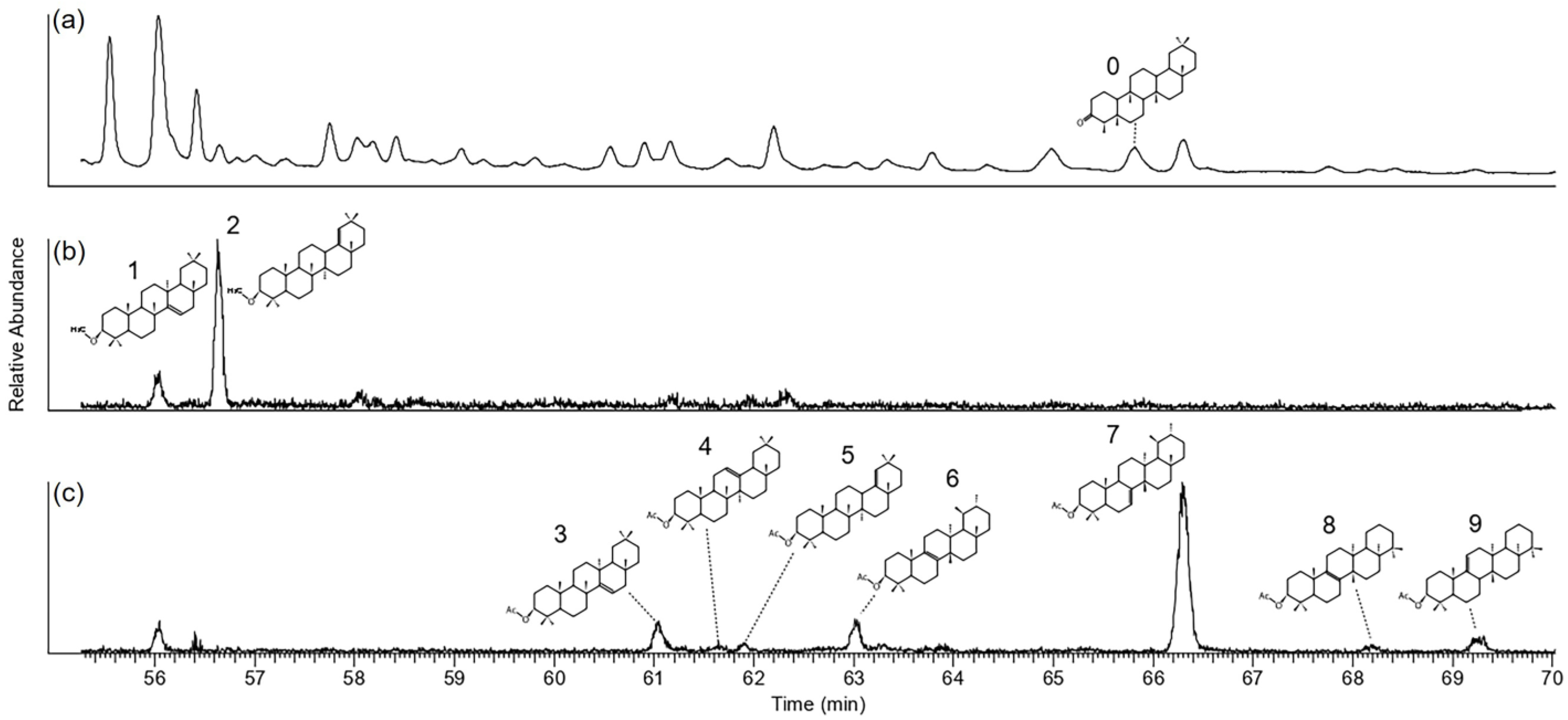 Sustainability 15 10408 g004