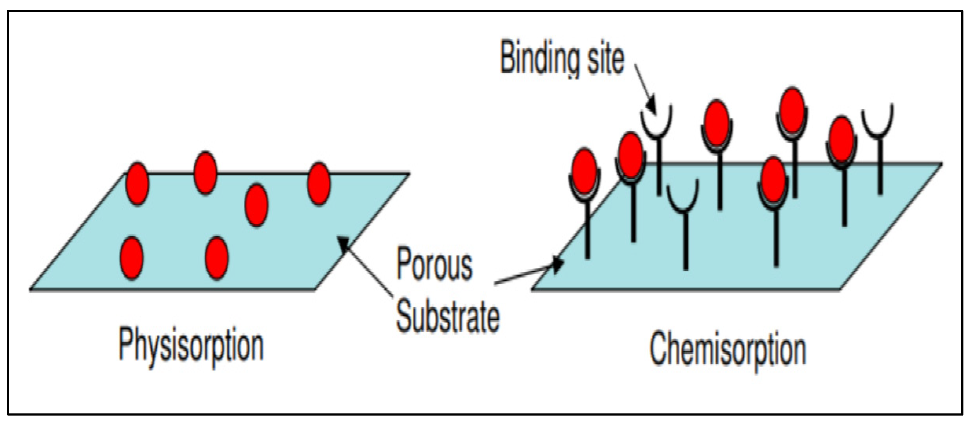 Sustainability 15 10438 g001