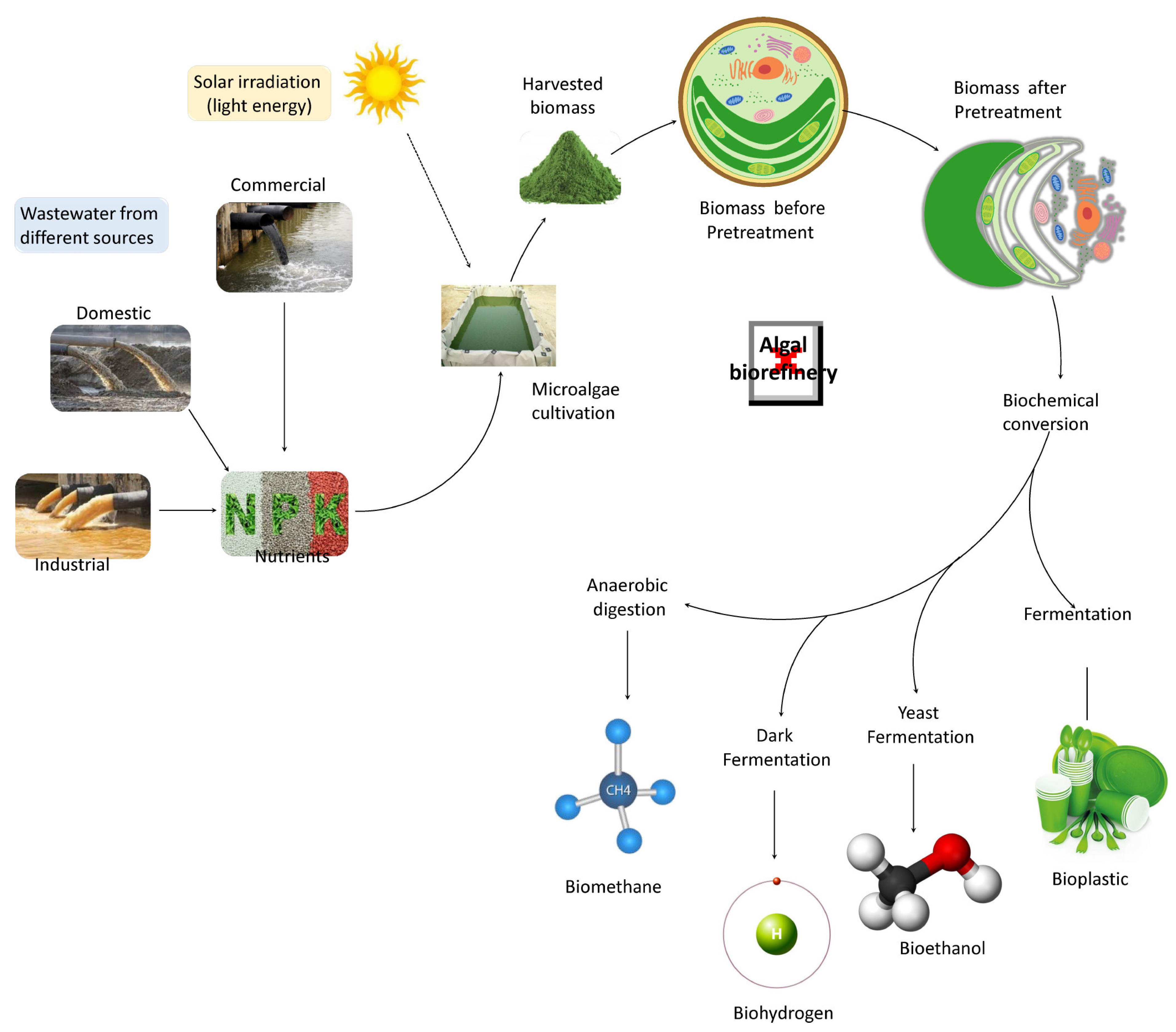 Sustainability 15 10438 g003