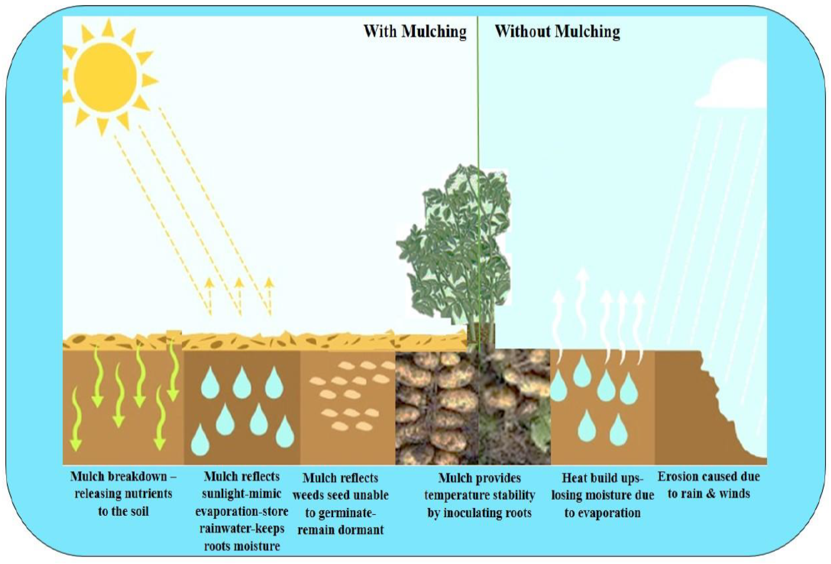Sustainability 15 10442 g001 Sustainability 15 10442 g001
