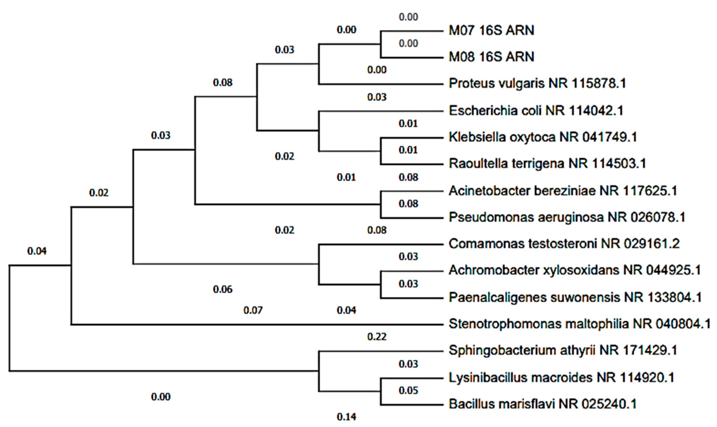 Sustainability 15 10461 g007