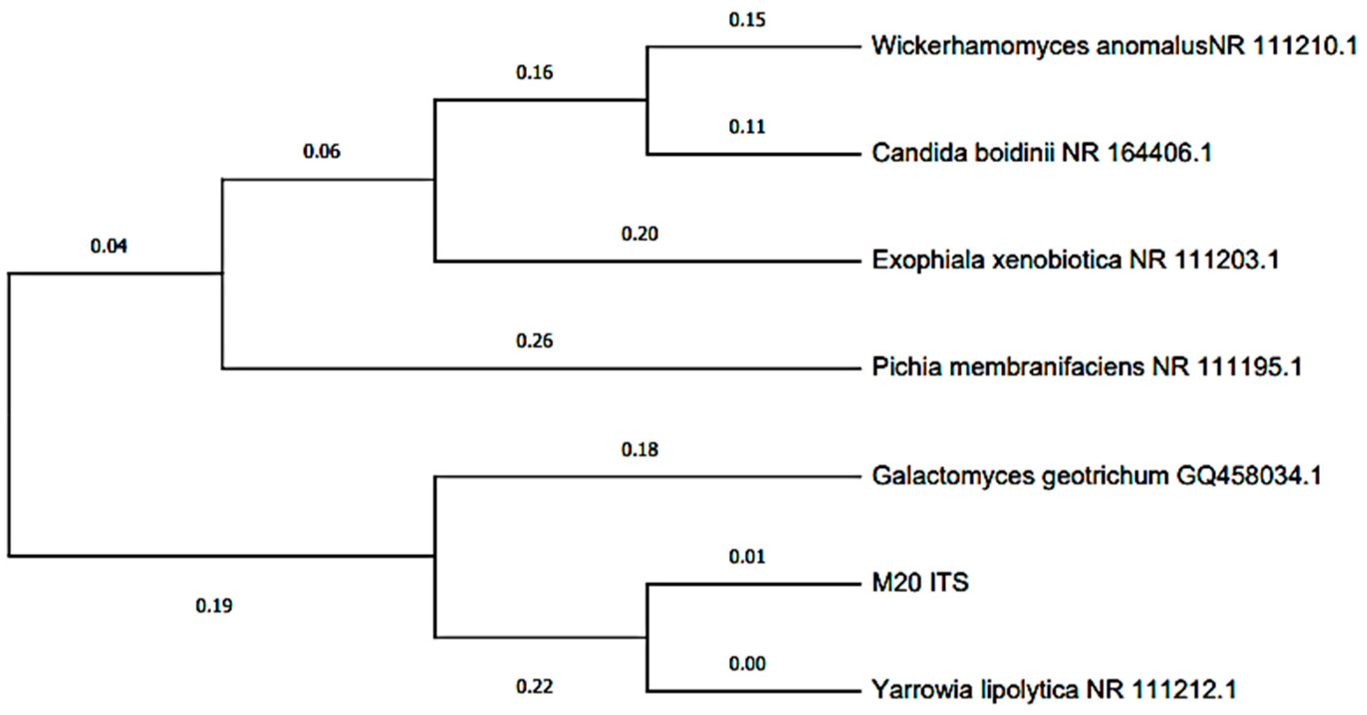 Sustainability 15 10461 g008