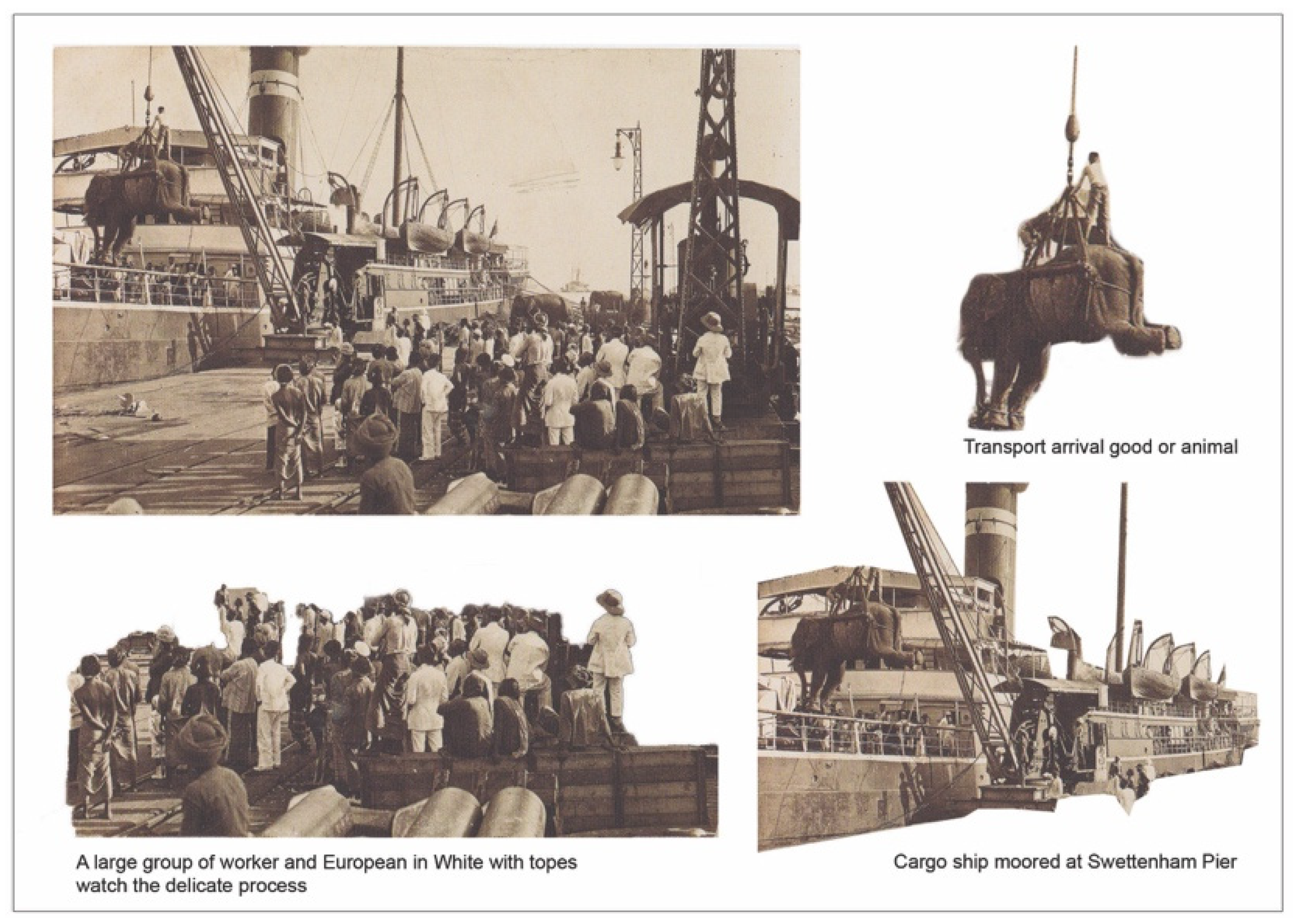 Sustainability 15 10511 g004 Sustainability 15 10511 g004