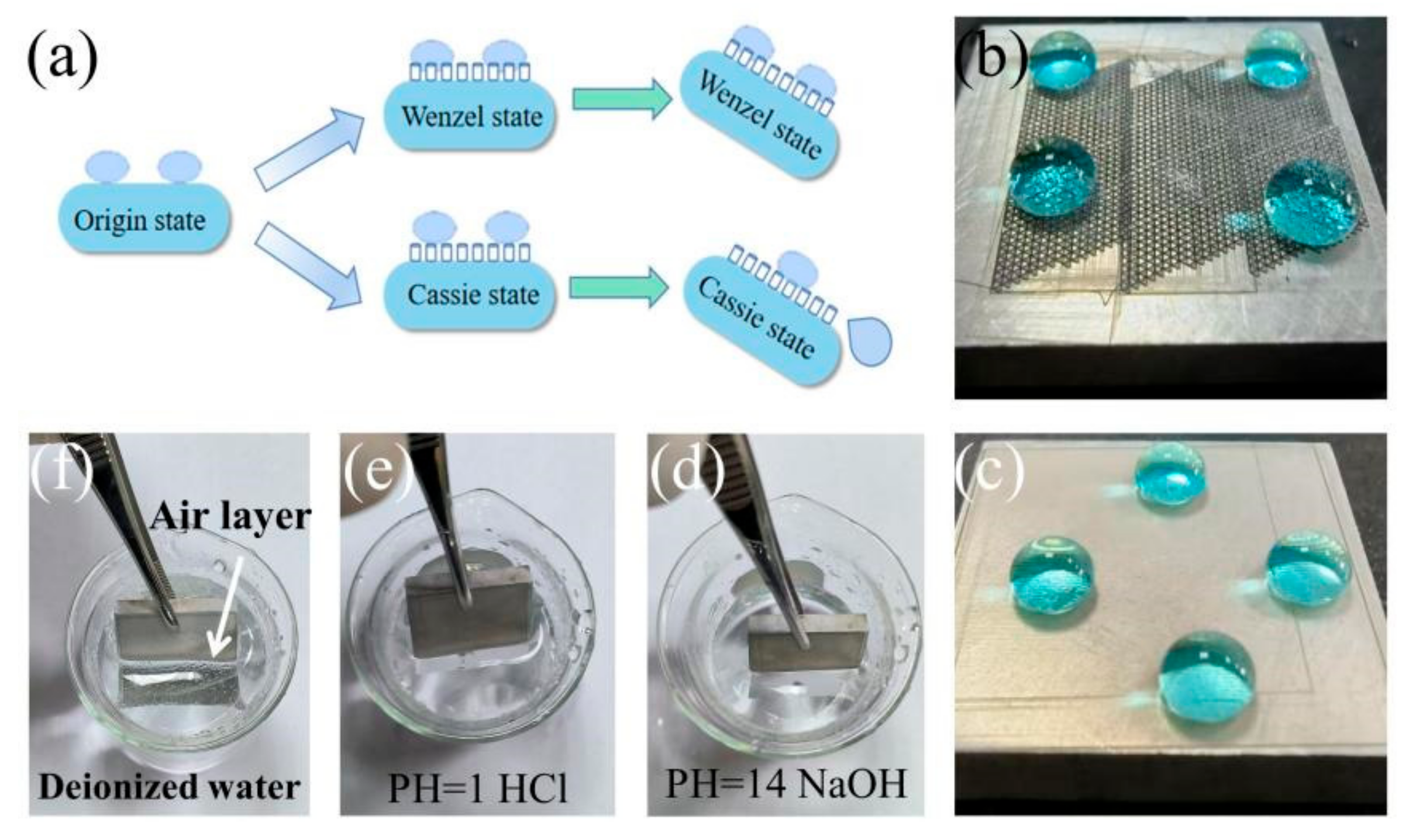 Sustainability 15 10550 g007