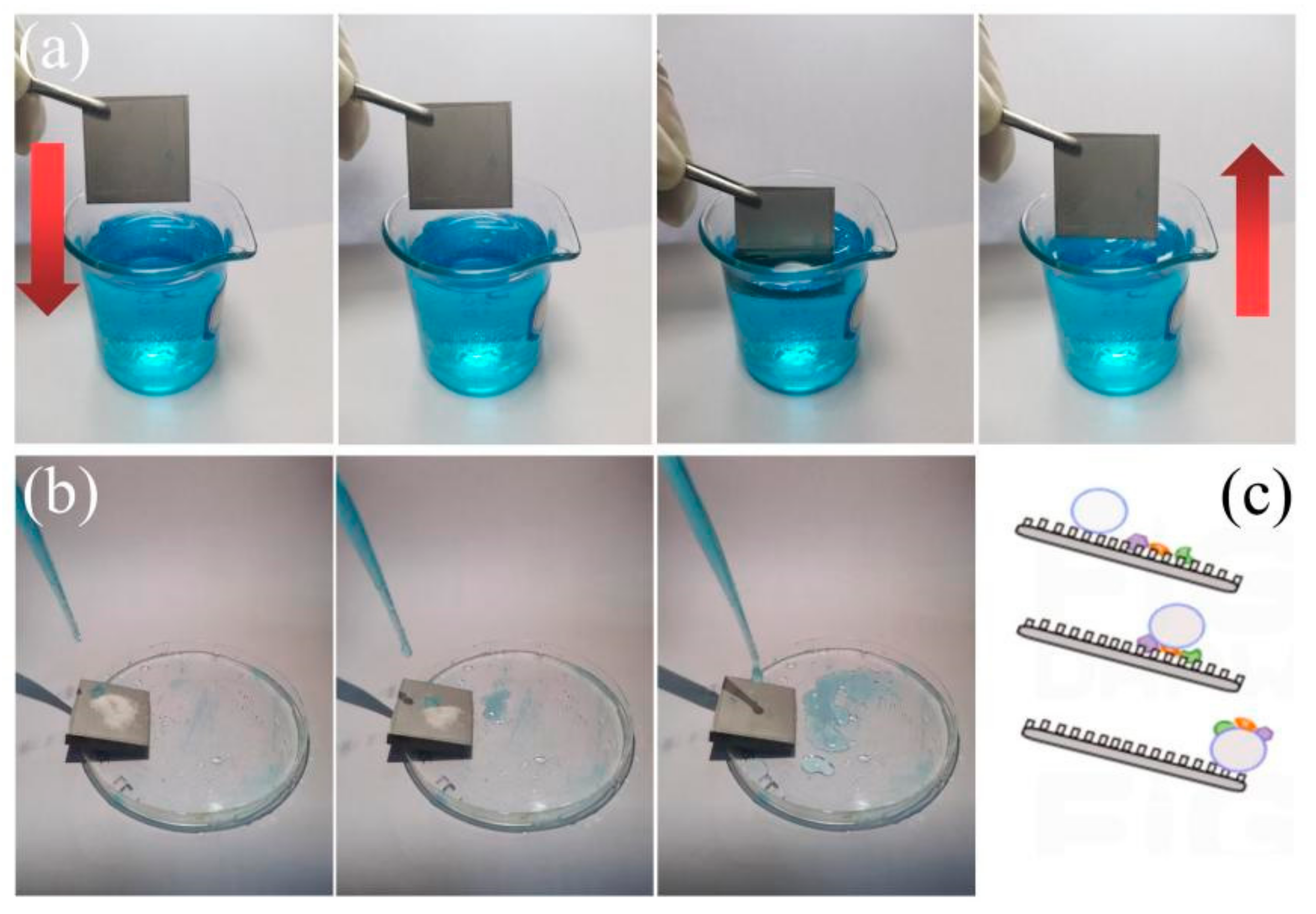 Sustainability 15 10550 g008