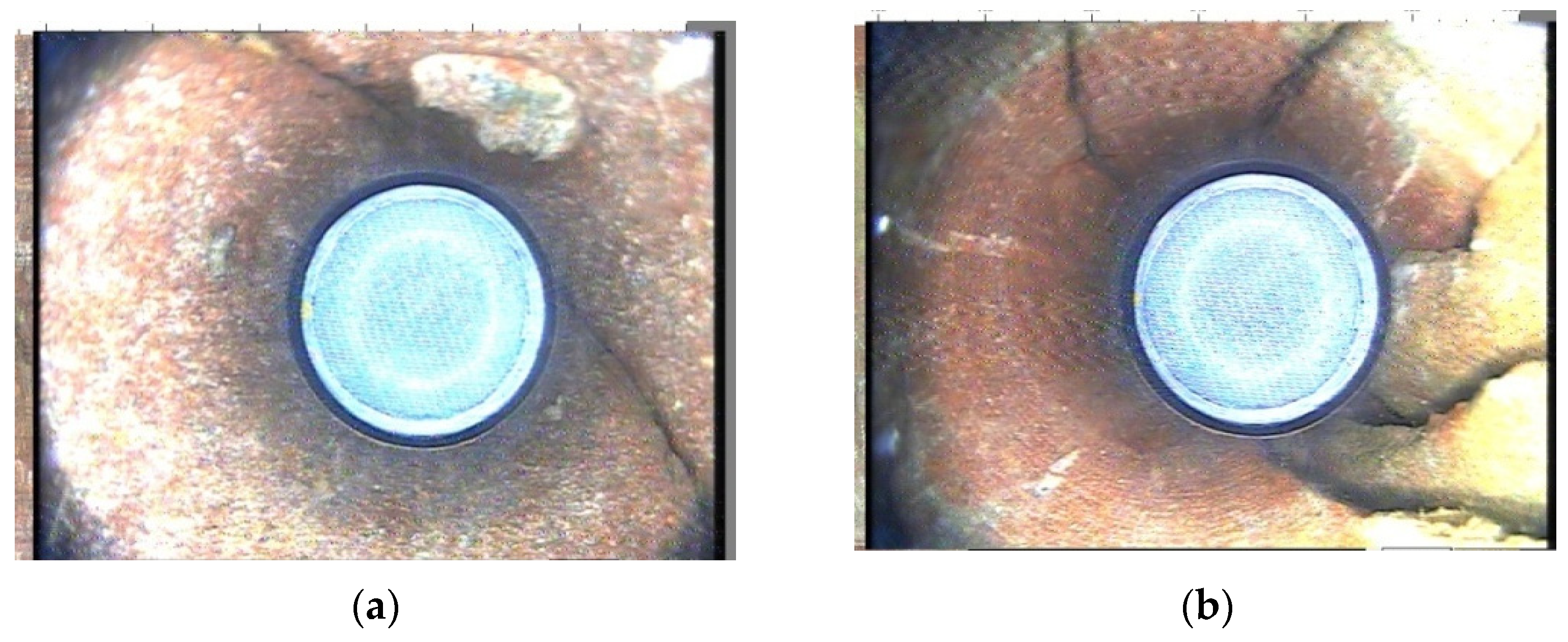 Sustainability 15 10599 g006